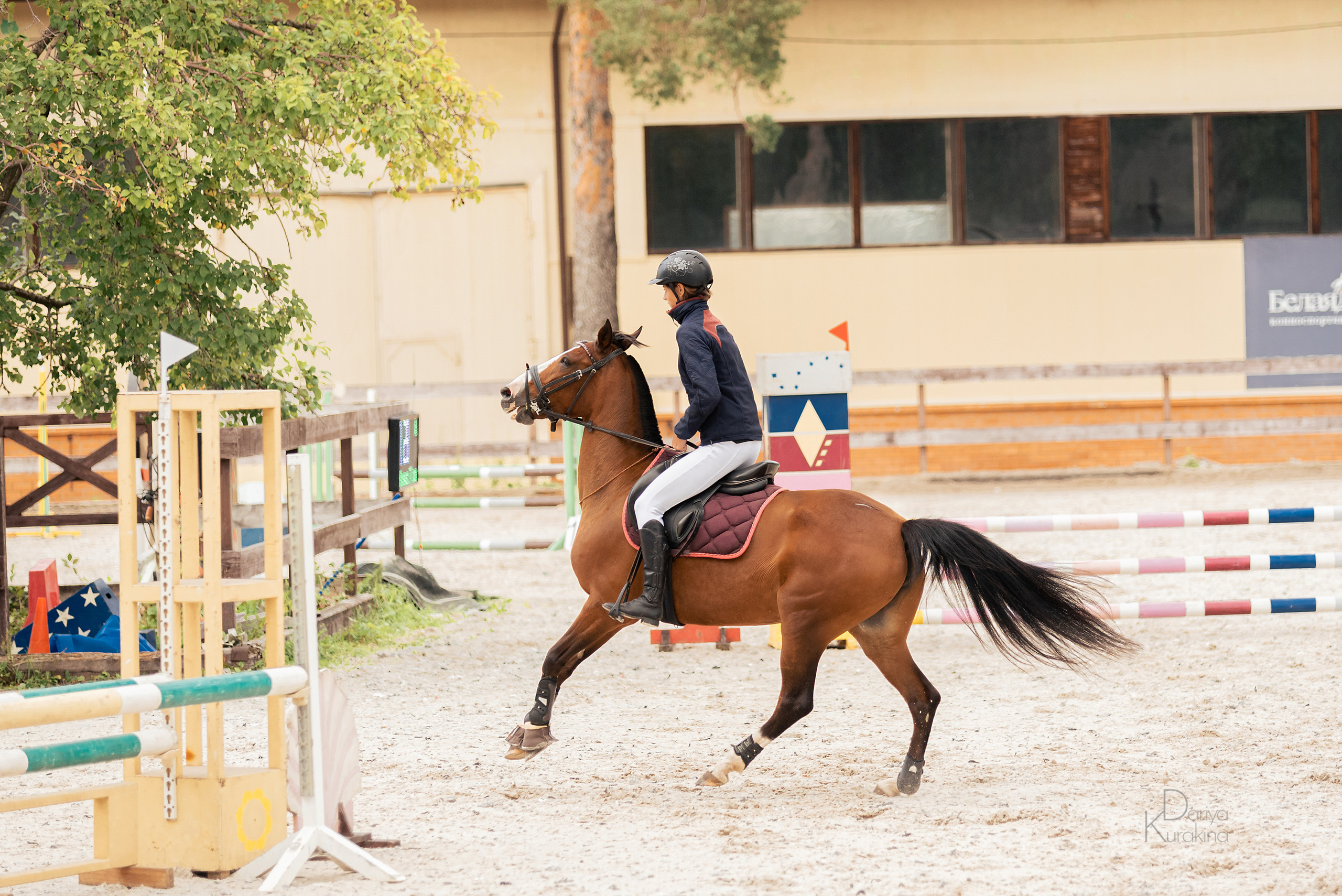 КСК Белая Дача, конкур. Конный фотограф Куракина Дарья • Фотосессии с лошадьми
