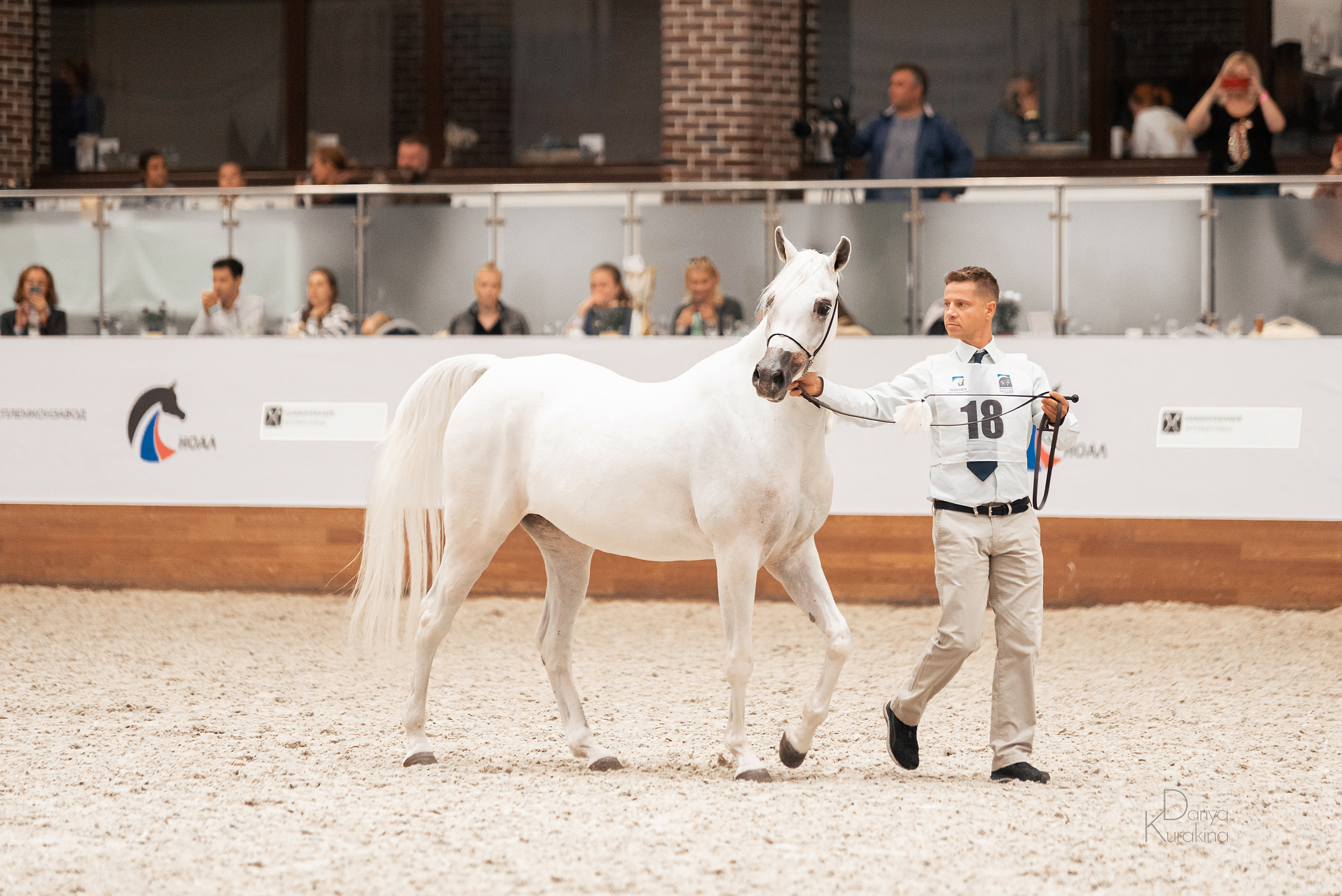 Конная Россия 2021. Конный фотограф Куракина Дарья • Фотосессии с лошадьми