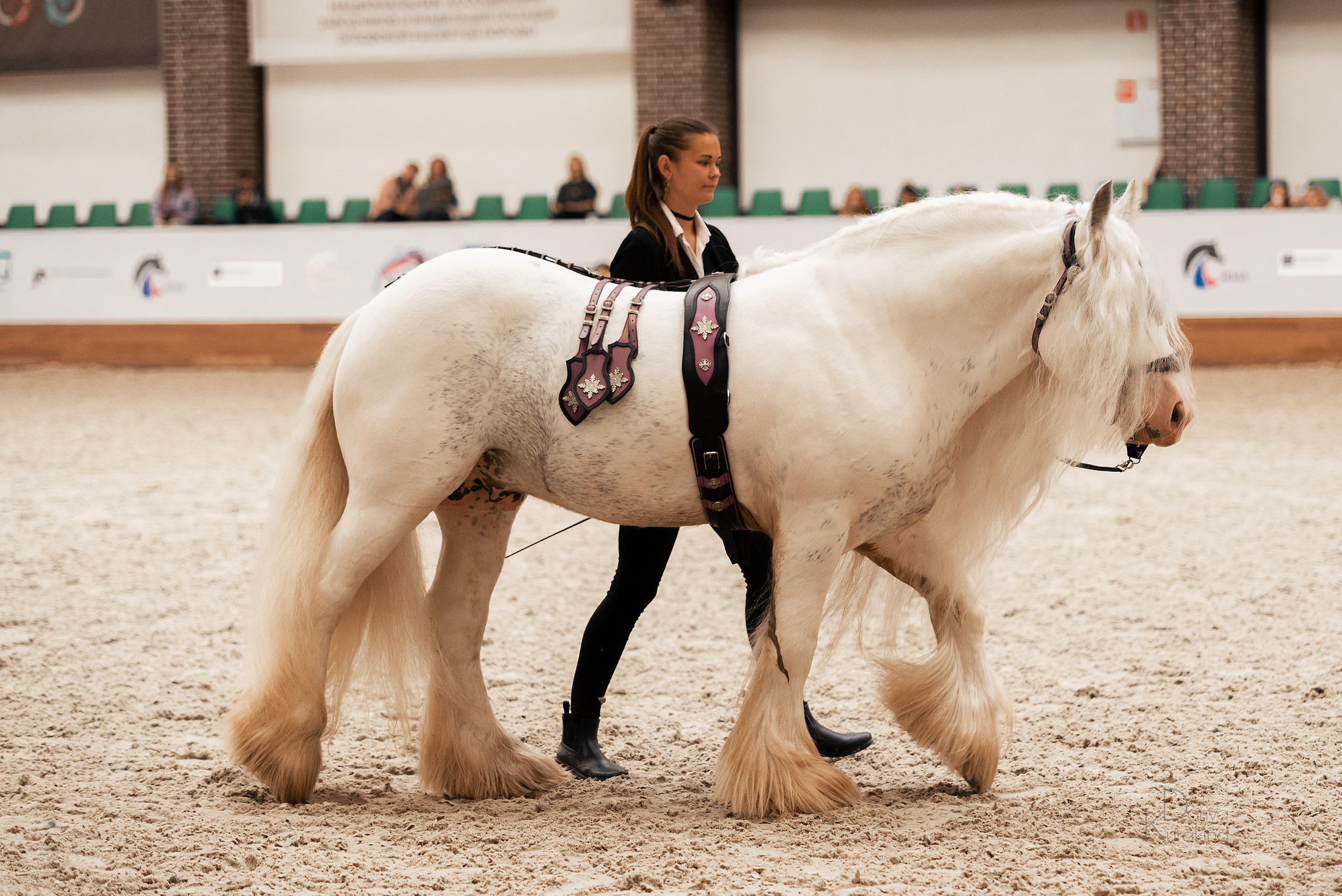 Конная Россия 2021. Конный фотограф Куракина Дарья • Фотосессии с лошадьми