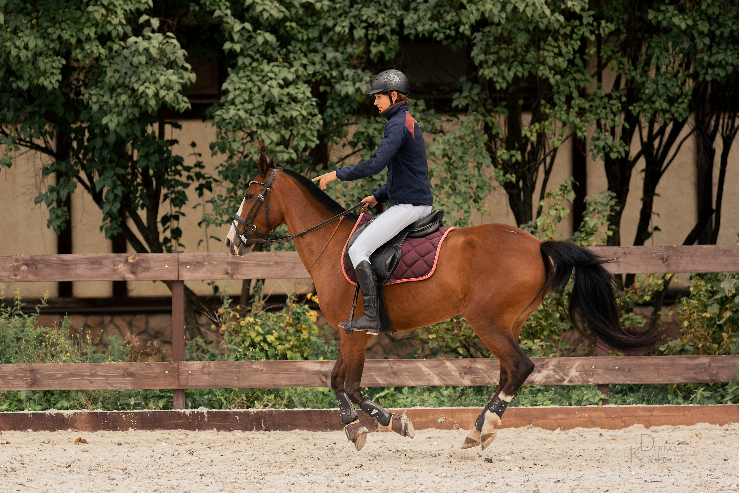 КСК Белая Дача, конкур. Конный фотограф Куракина Дарья • Фотосессии с лошадьми
