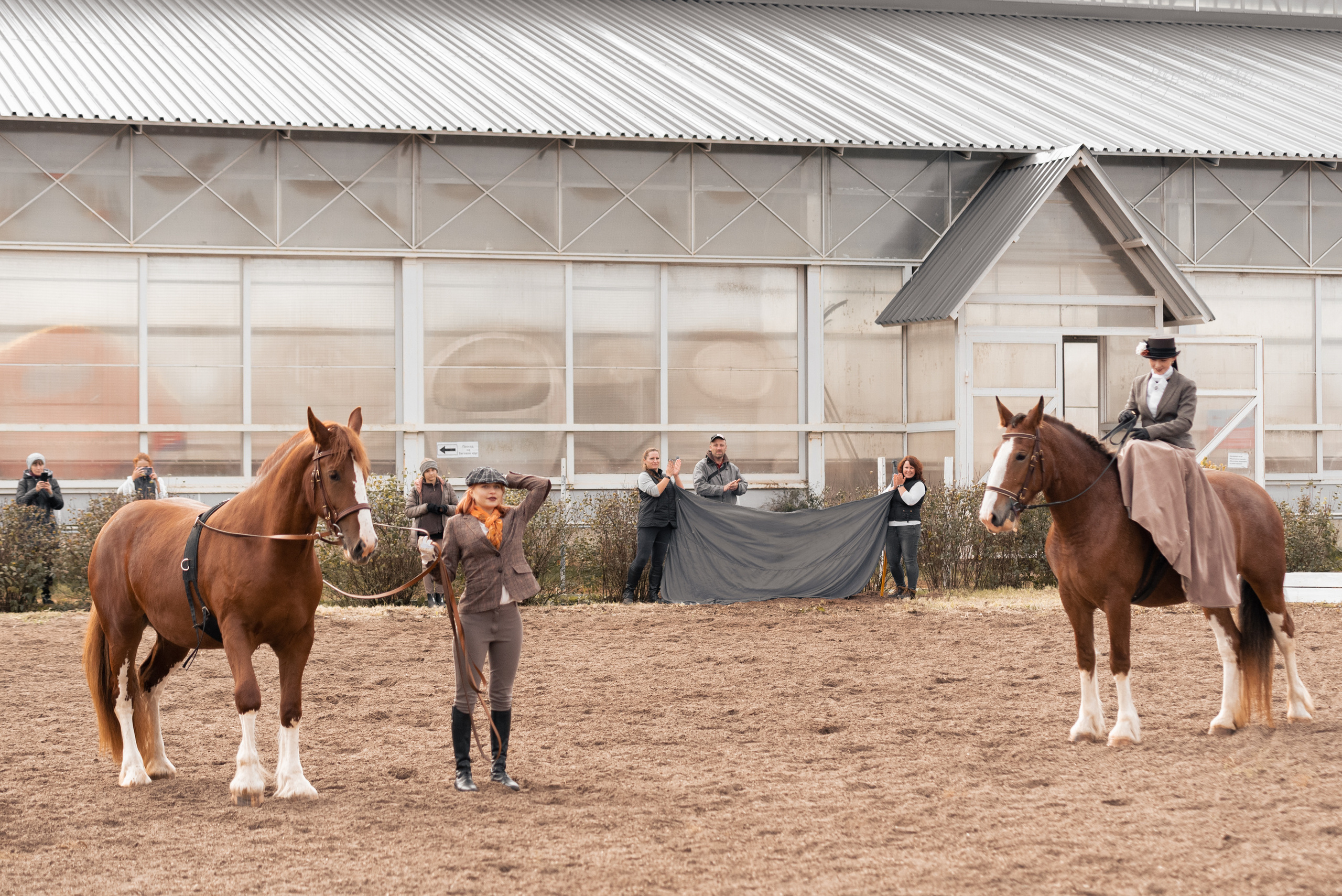 Богдарня. Конный фотограф Куракина Дарья • Фотосессии с лошадьми
