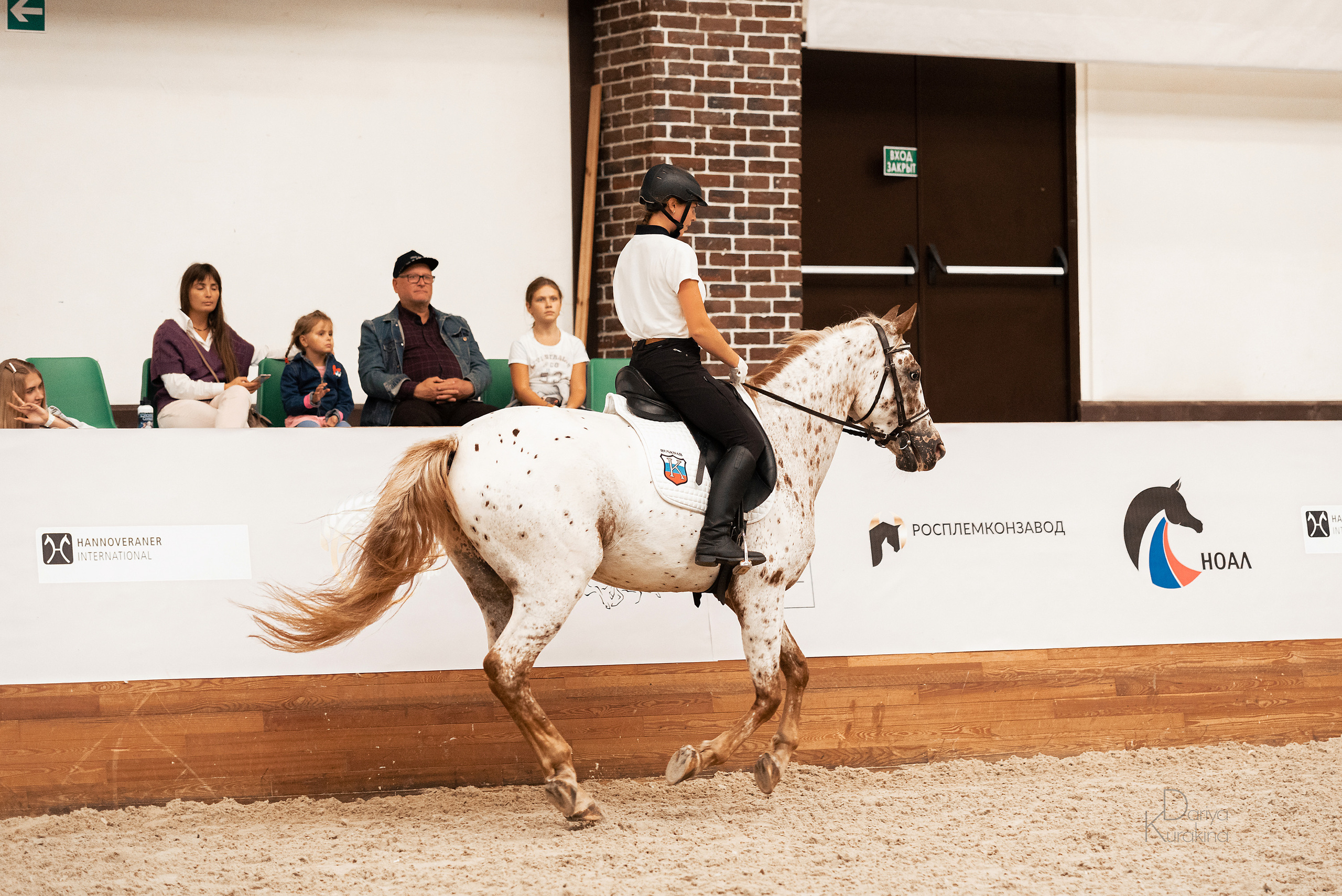 Конная Россия 2021. Конный фотограф Куракина Дарья • Фотосессии с лошадьми