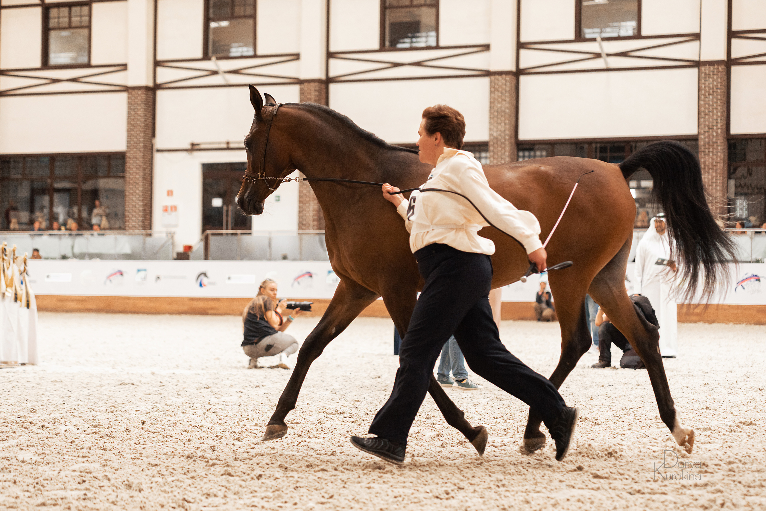 Конная Россия 2021. Конный фотограф Куракина Дарья • Фотосессии с лошадьми
