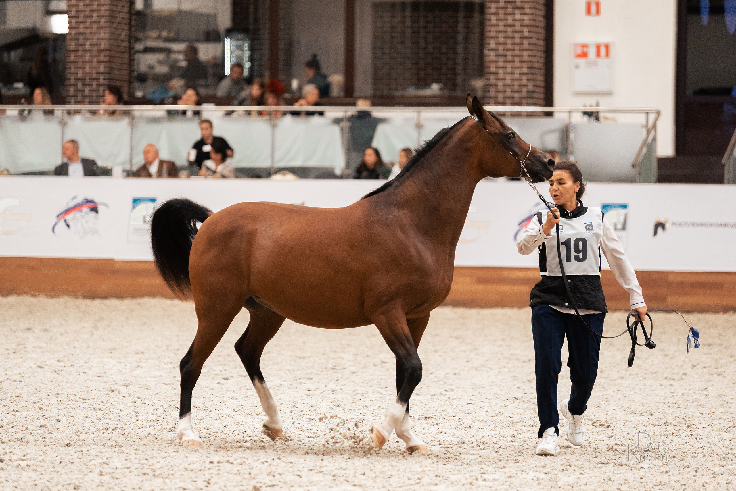 Конная Россия 2021. Конный фотограф Куракина Дарья • Фотосессии с лошадьми