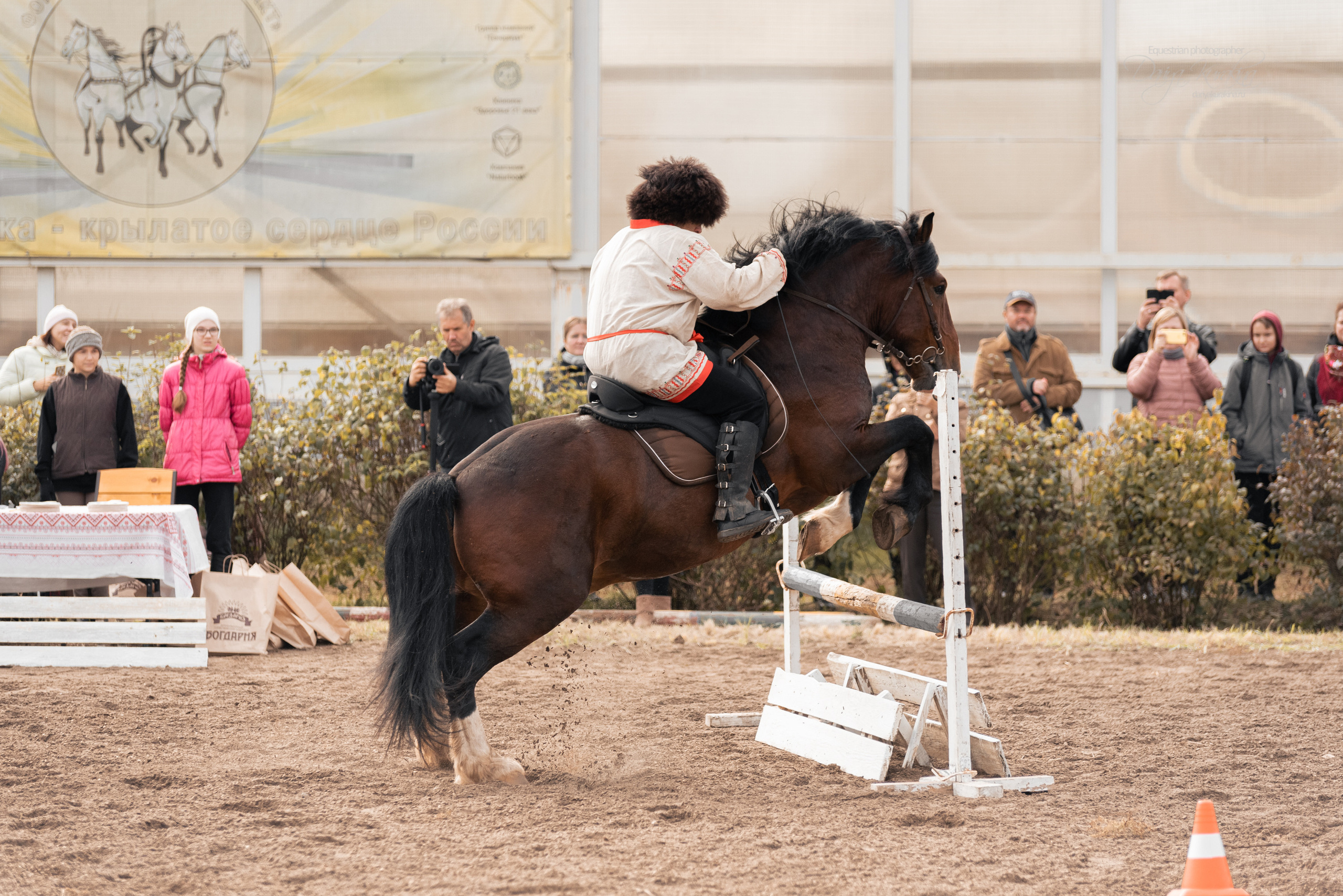 Богдарня. Конный фотограф Куракина Дарья • Фотосессии с лошадьми