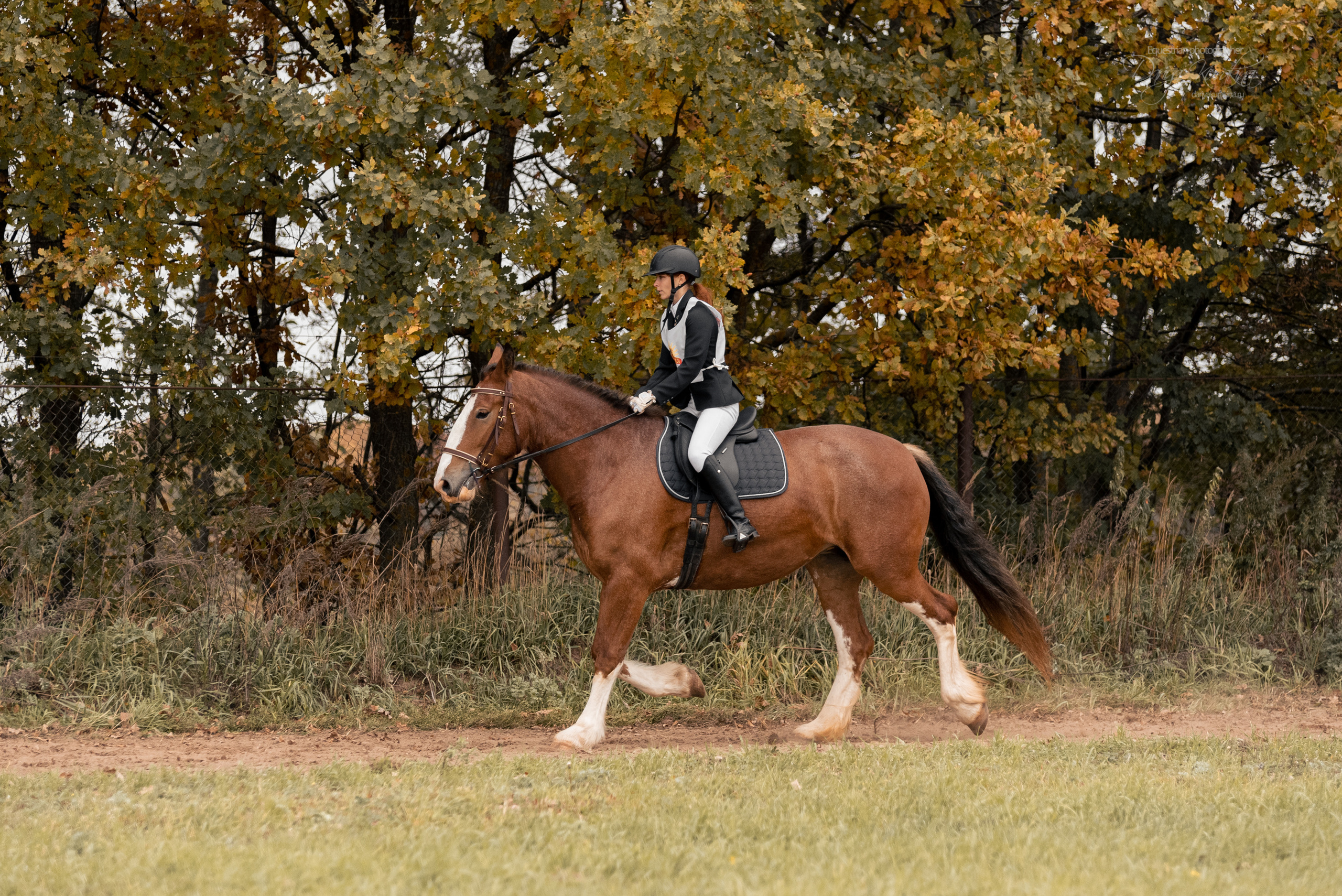 Богдарня. Конный фотограф Куракина Дарья • Фотосессии с лошадьми