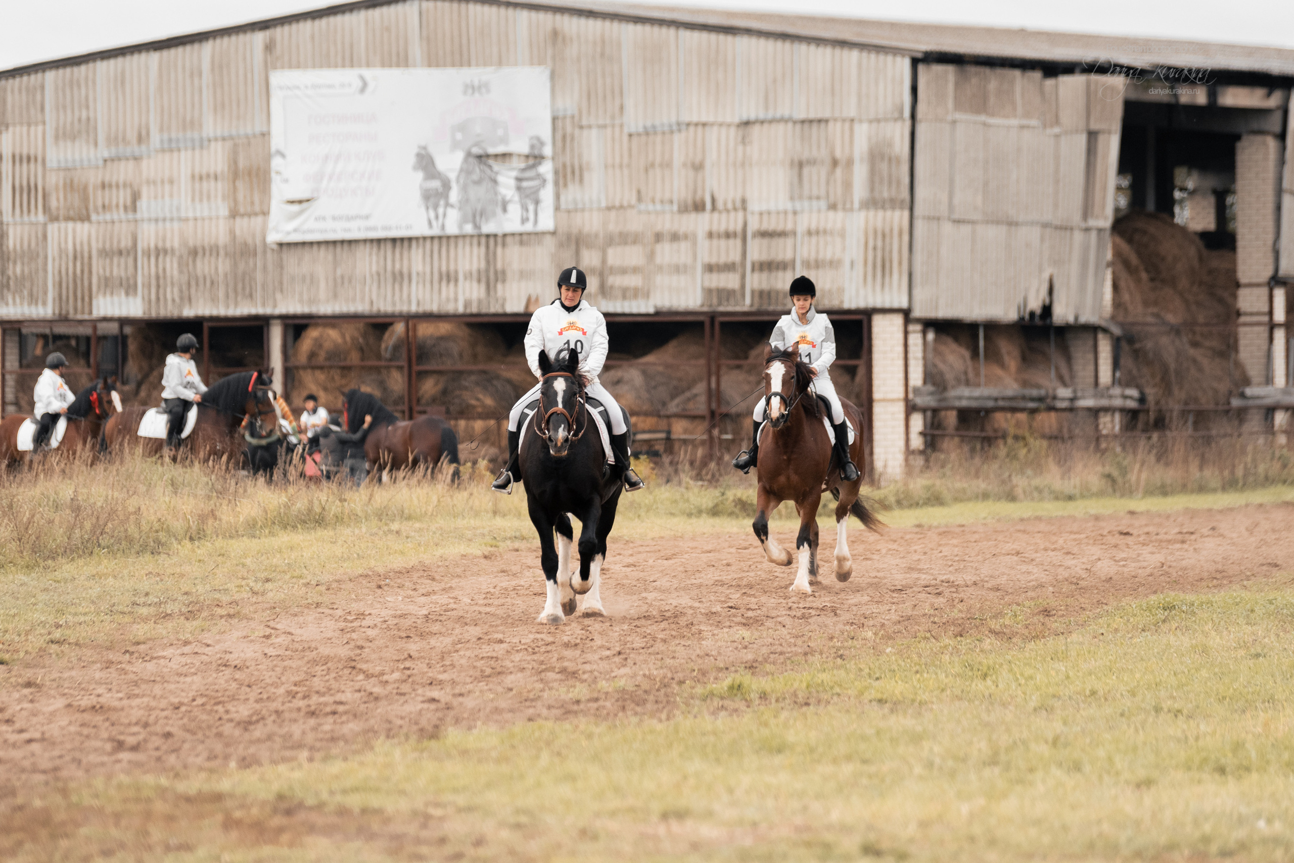 Богдарня. Конный фотограф Куракина Дарья • Фотосессии с лошадьми