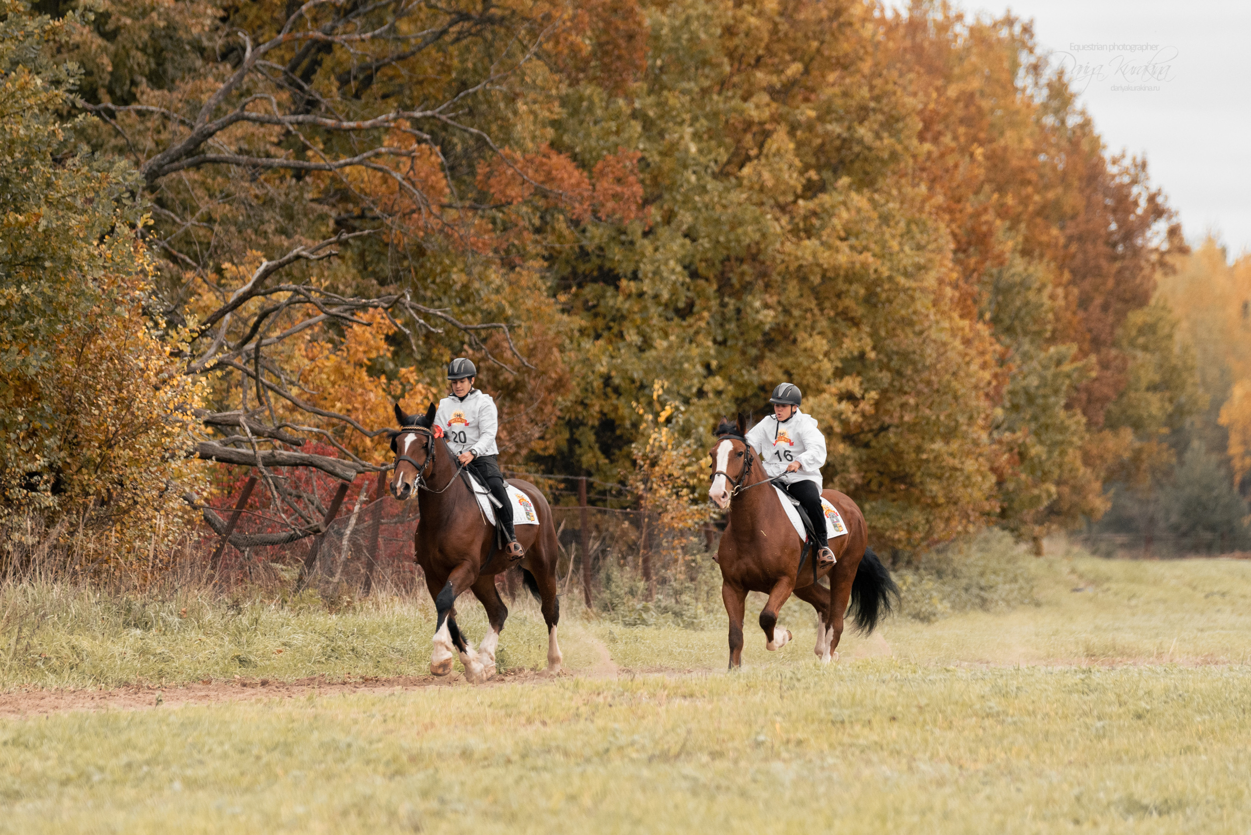 Богдарня. Конный фотограф Куракина Дарья • Фотосессии с лошадьми
