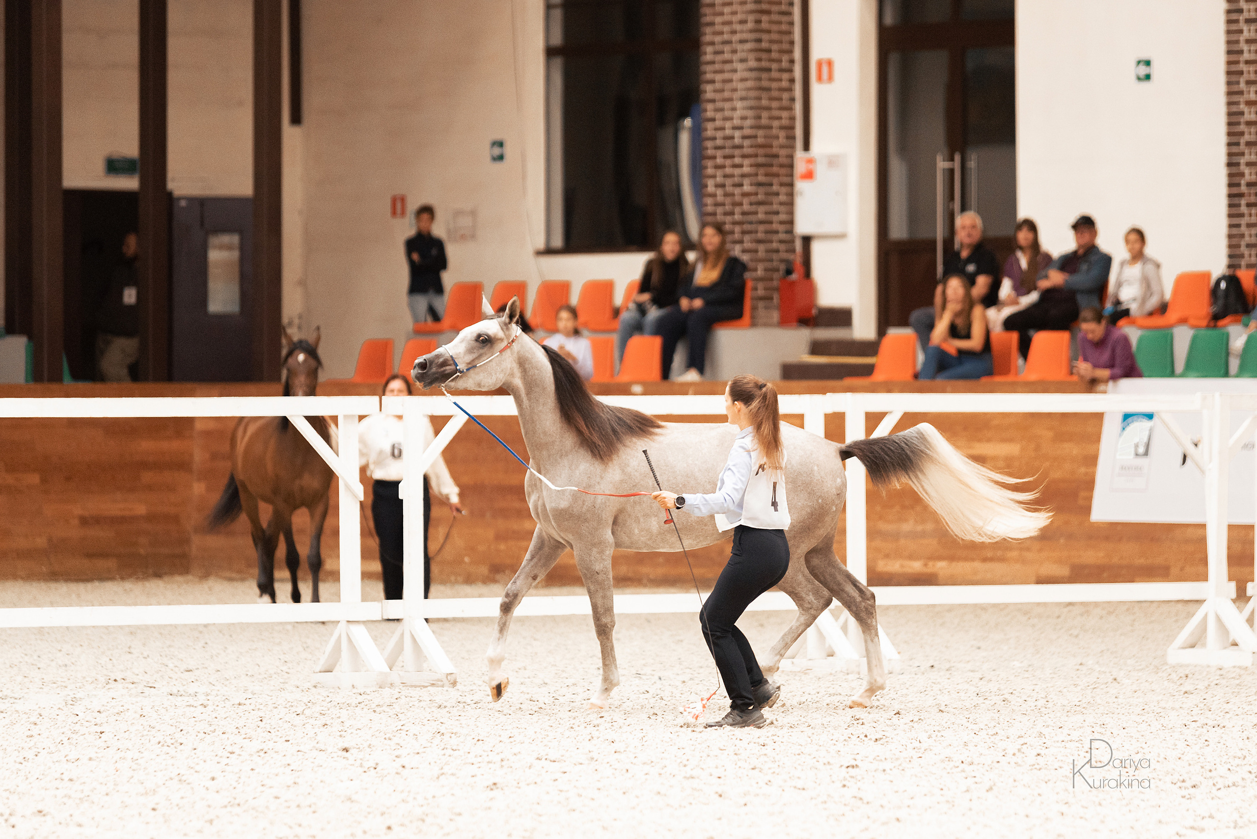 Конная Россия 2021. Конный фотограф Куракина Дарья • Фотосессии с лошадьми