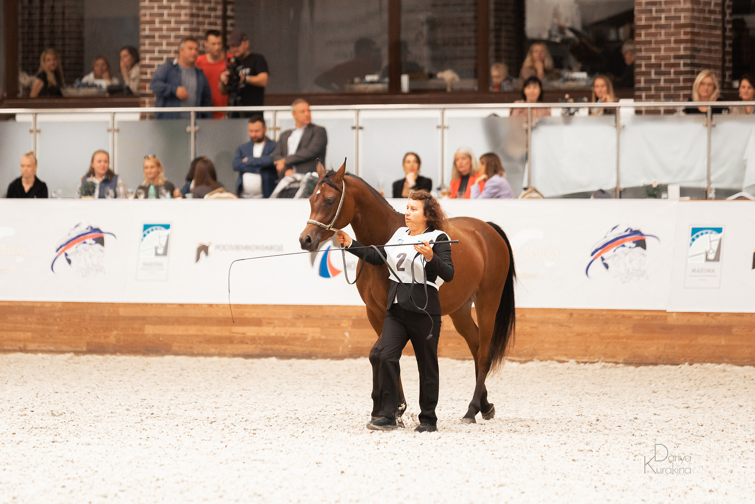 Конная Россия 2021. Конный фотограф Куракина Дарья • Фотосессии с лошадьми