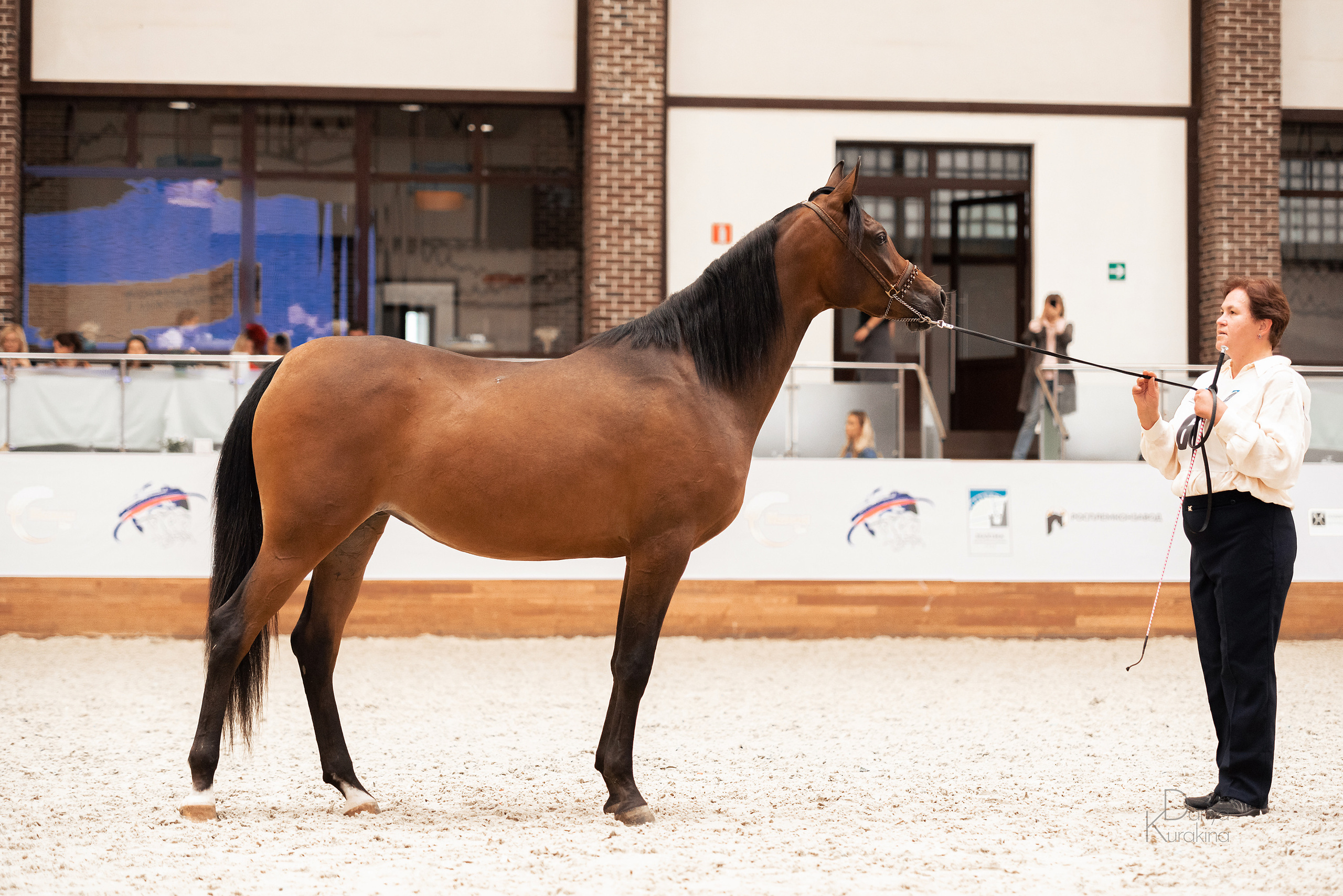 Конная Россия 2021. Конный фотограф Куракина Дарья • Фотосессии с лошадьми