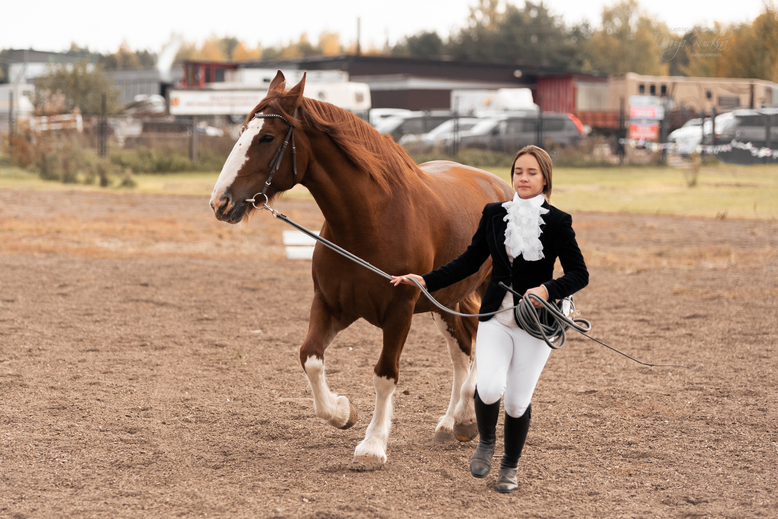 Богдарня. Конный фотограф Куракина Дарья • Фотосессии с лошадьми