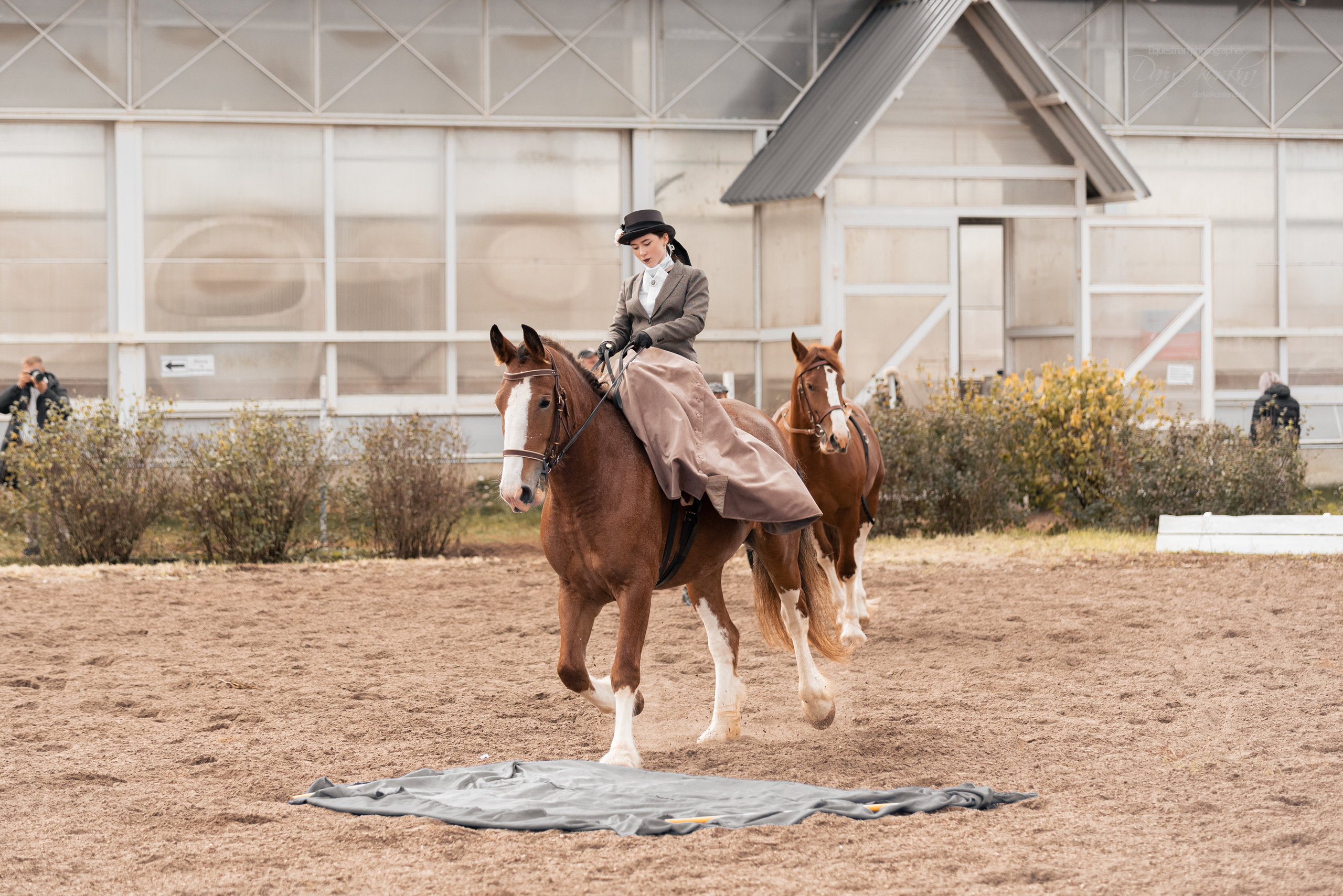 Богдарня. Конный фотограф Куракина Дарья • Фотосессии с лошадьми