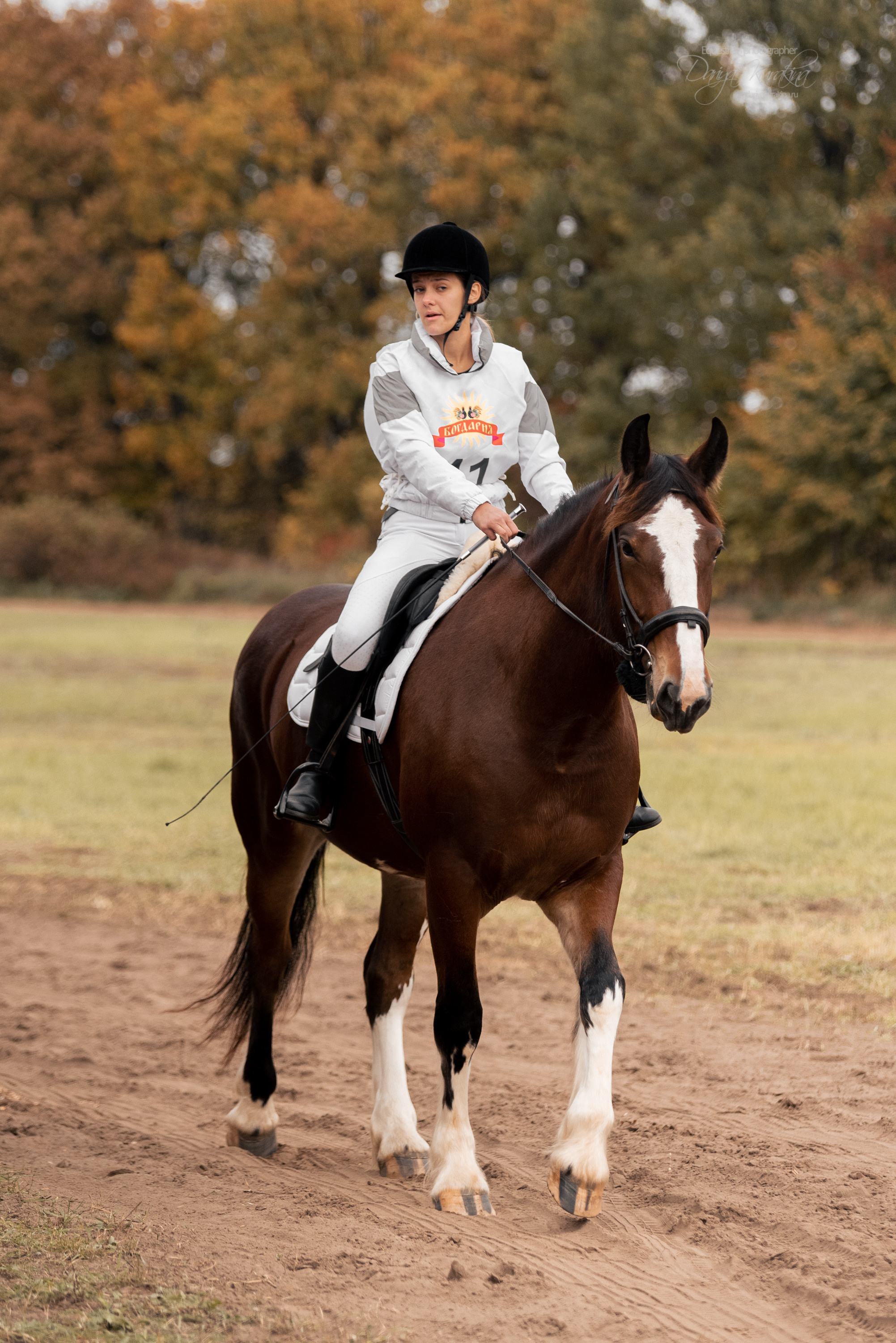 Богдарня. Конный фотограф Куракина Дарья • Фотосессии с лошадьми