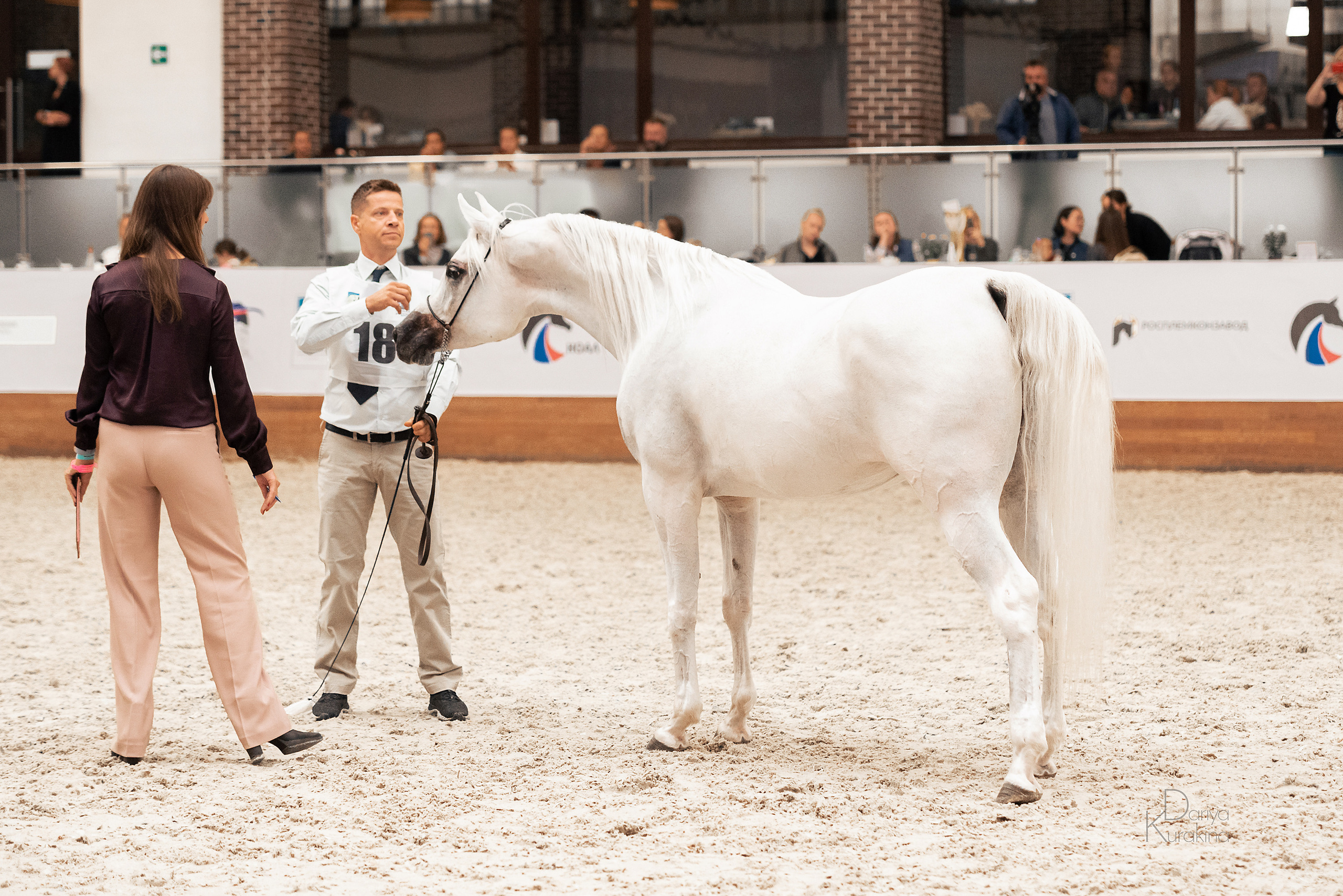 Конная Россия 2021. Конный фотограф Куракина Дарья • Фотосессии с лошадьми
