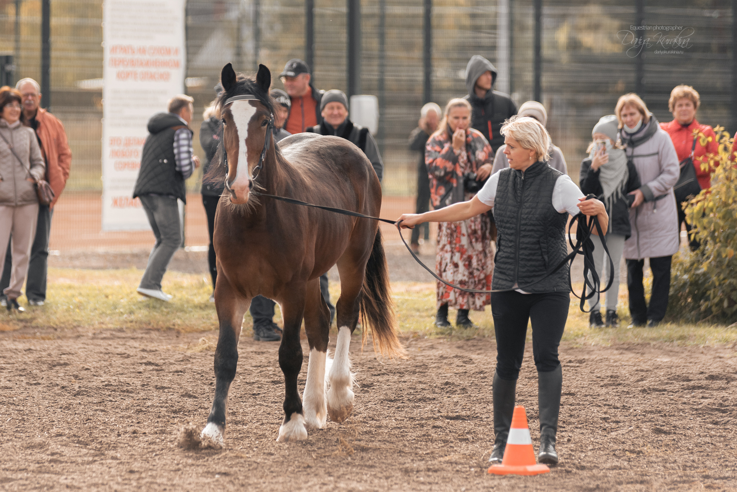 Богдарня. Конный фотограф Куракина Дарья • Фотосессии с лошадьми