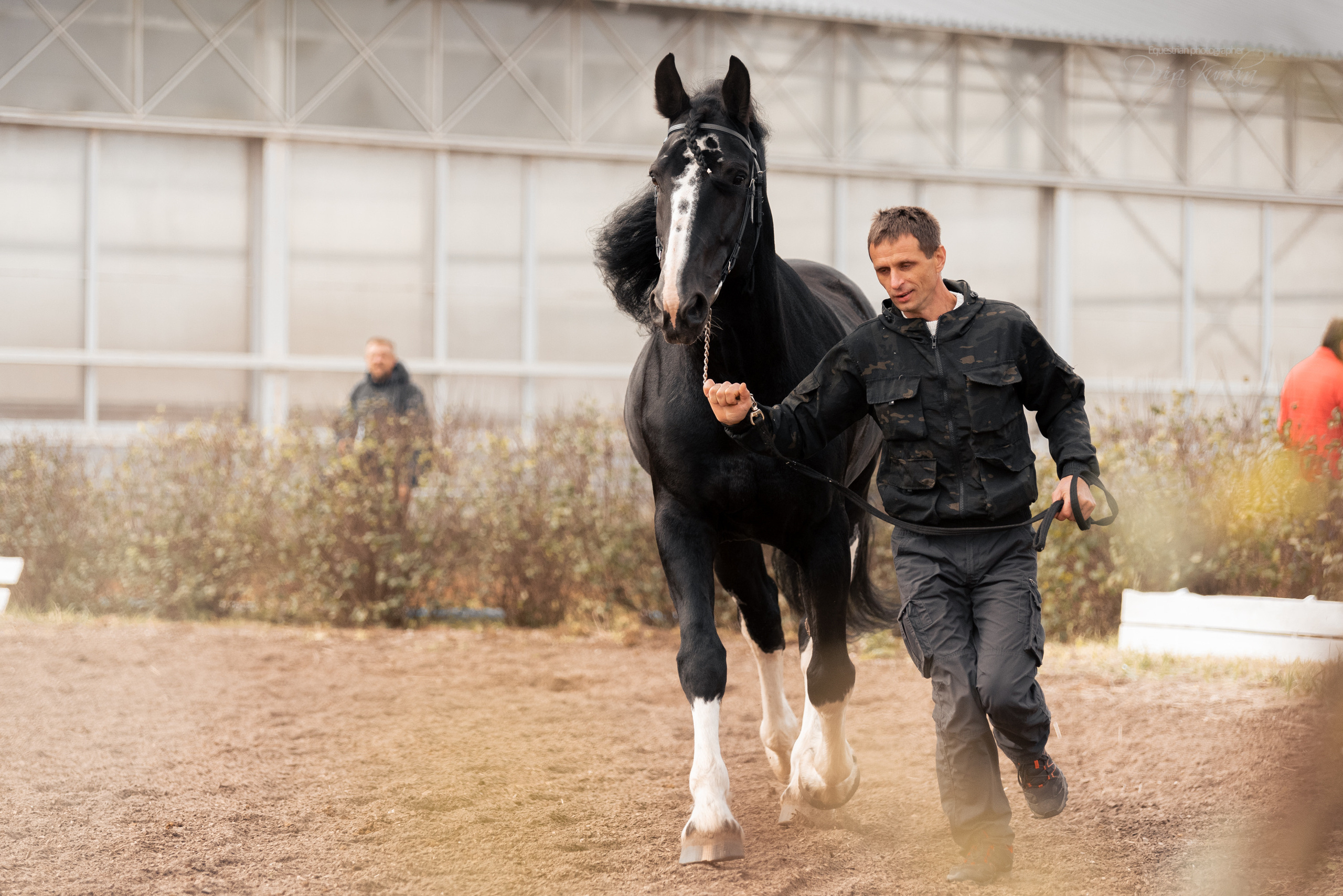 Богдарня. Конный фотограф Куракина Дарья • Фотосессии с лошадьми