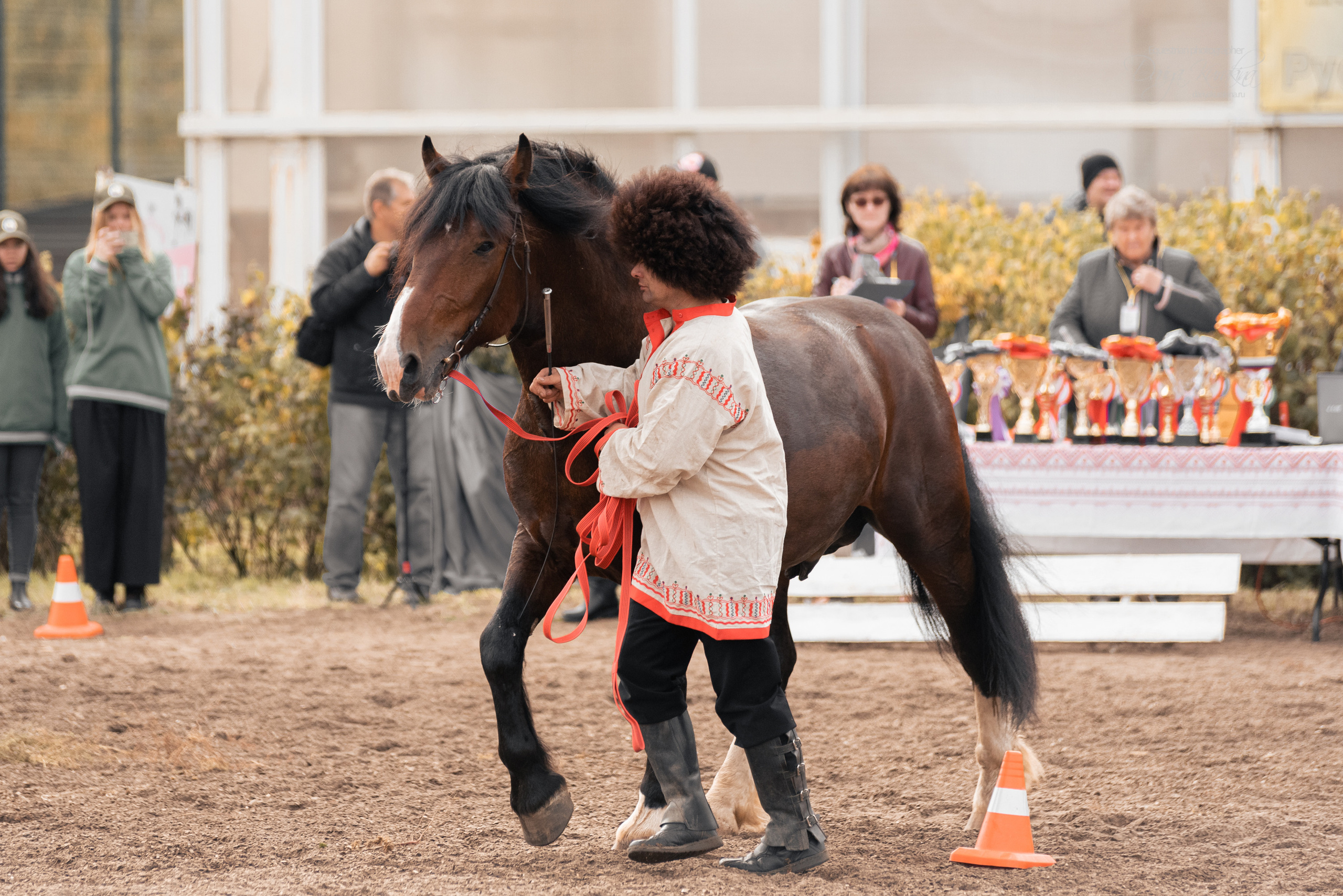 Богдарня. Конный фотограф Куракина Дарья • Фотосессии с лошадьми