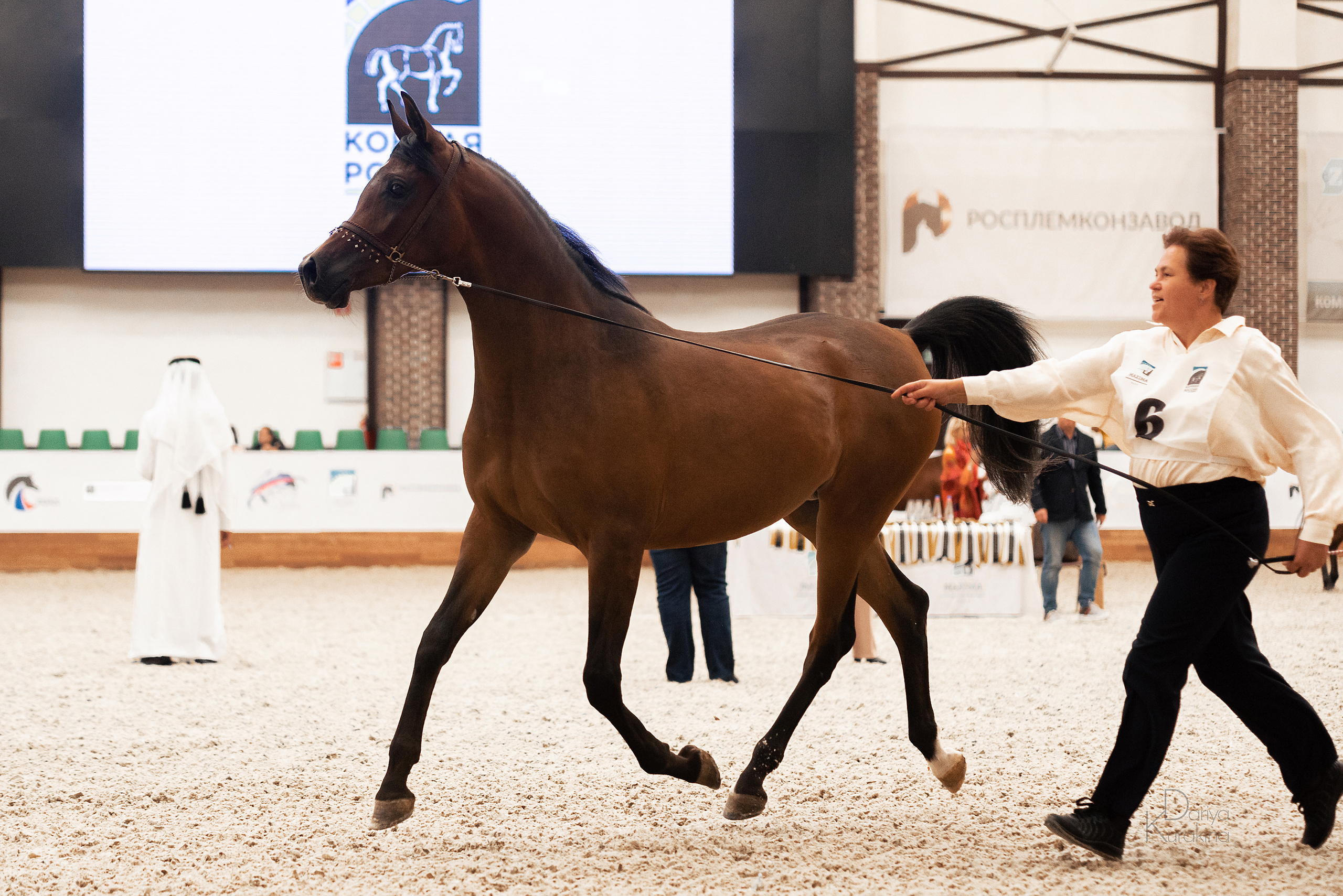 Конная Россия 2021. Конный фотограф Куракина Дарья • Фотосессии с лошадьми