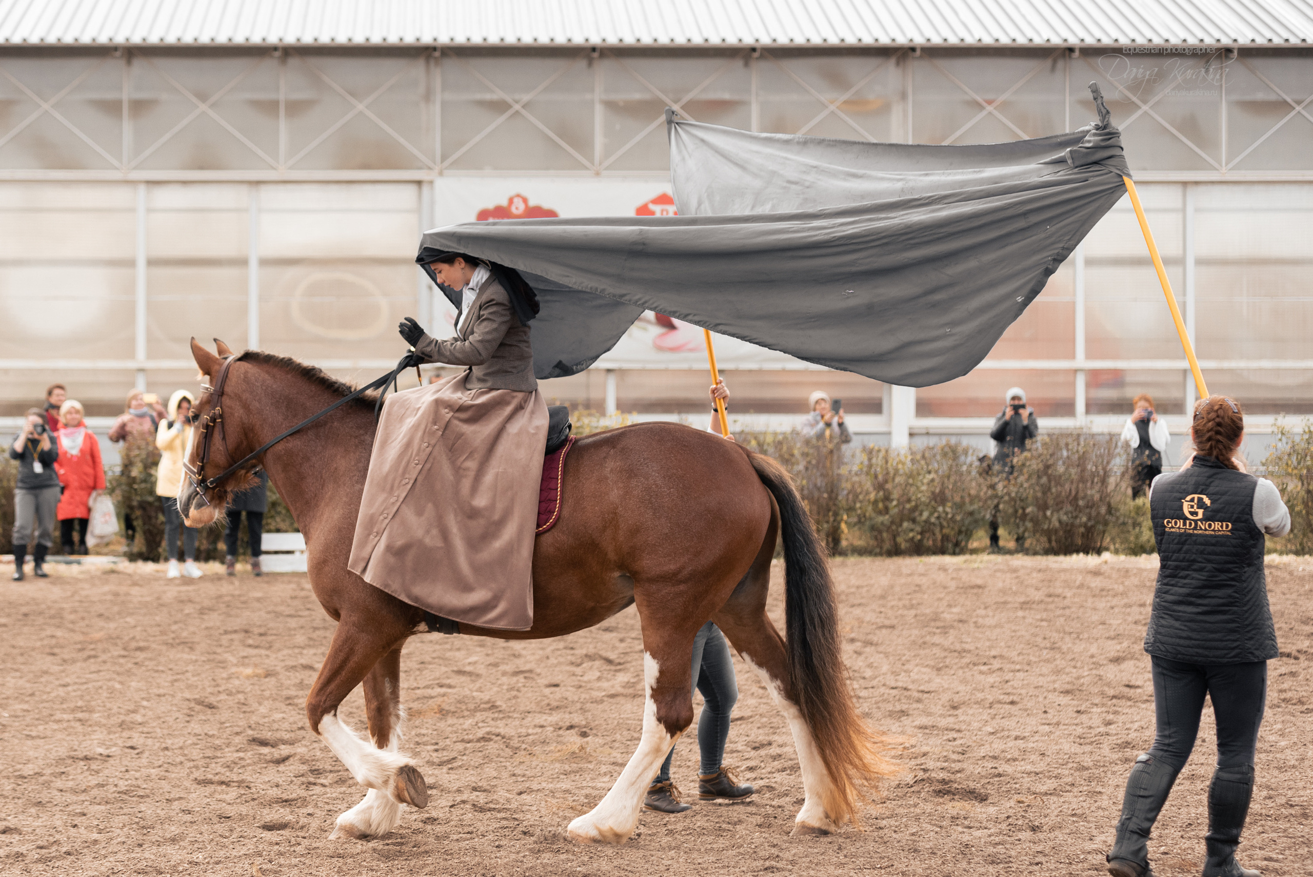 Богдарня. Конный фотограф Куракина Дарья • Фотосессии с лошадьми