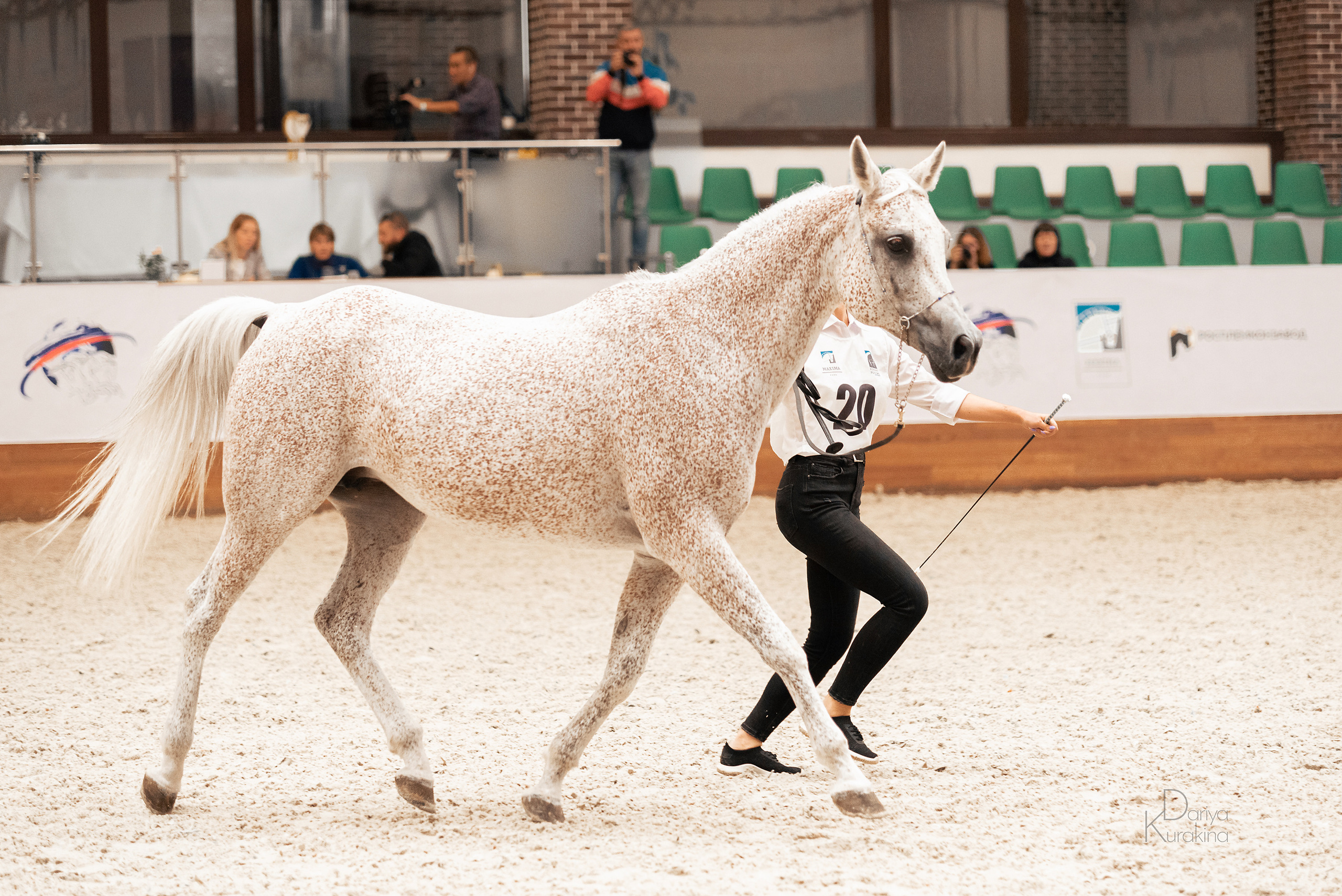 Конная Россия 2021. Конный фотограф Куракина Дарья • Фотосессии с лошадьми