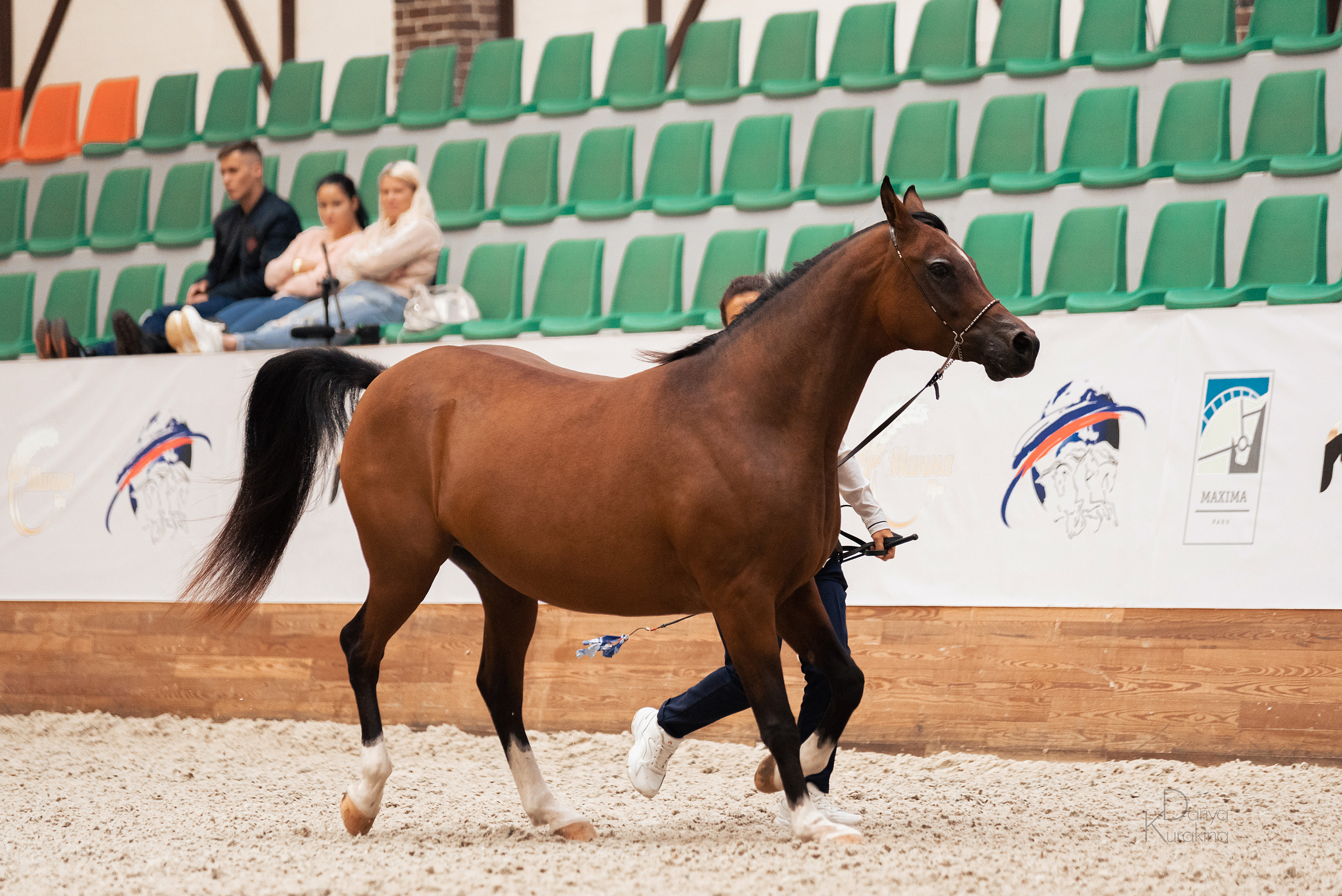 Конная Россия 2021. Конный фотограф Куракина Дарья • Фотосессии с лошадьми