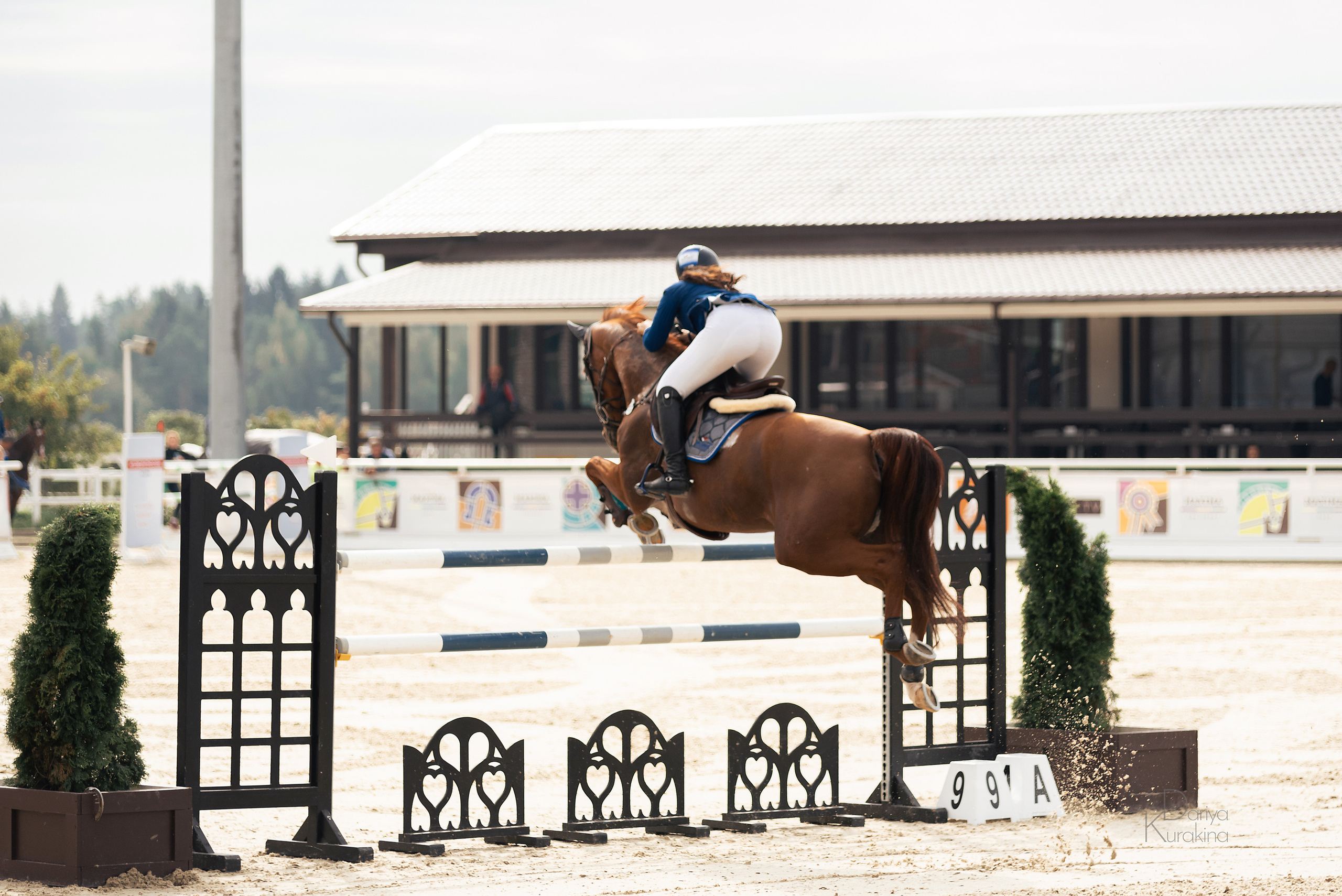 Конная Россия 2021. Конный фотограф Куракина Дарья • Фотосессии с лошадьми
