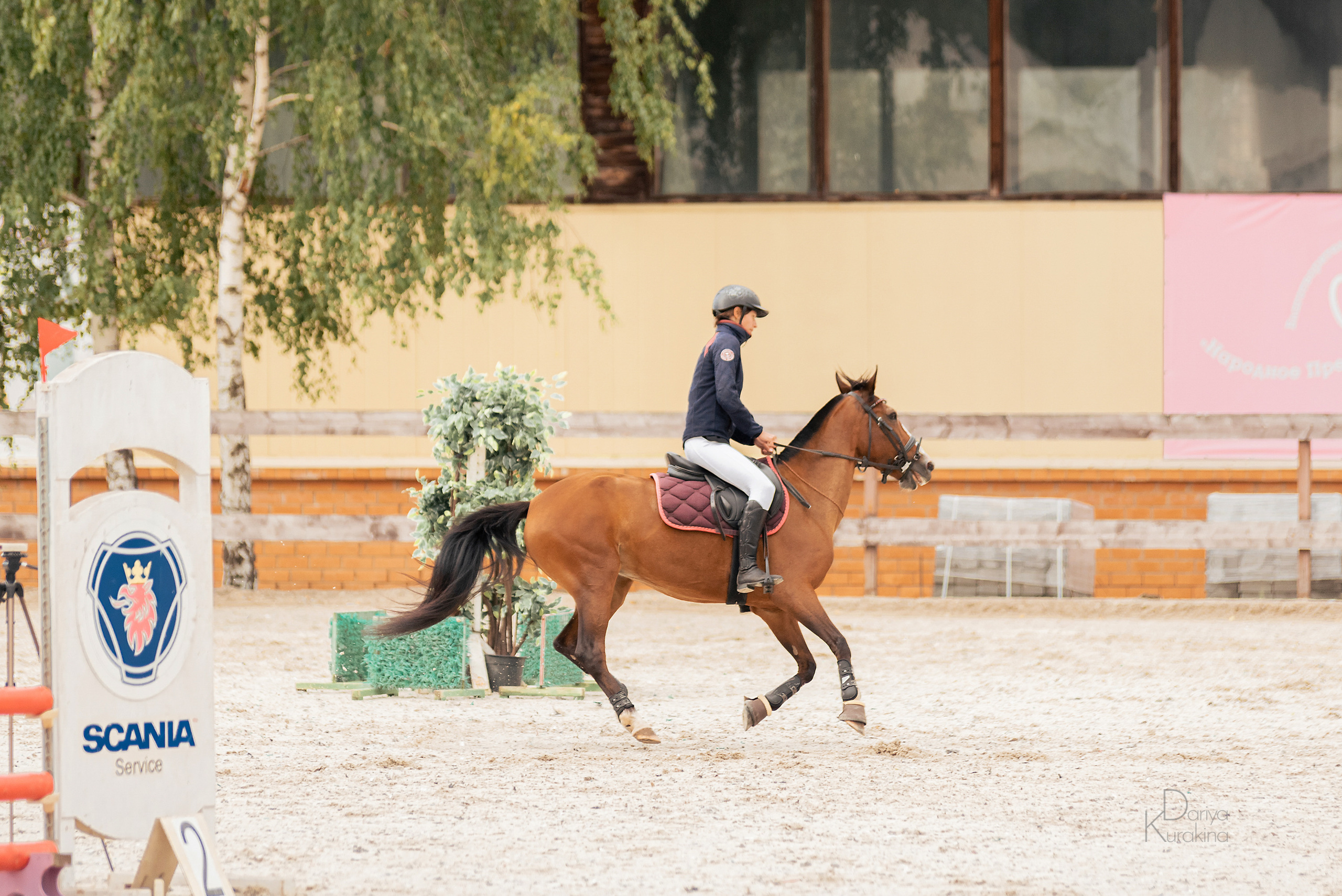 КСК Белая Дача, конкур. Конный фотограф Куракина Дарья • Фотосессии с лошадьми