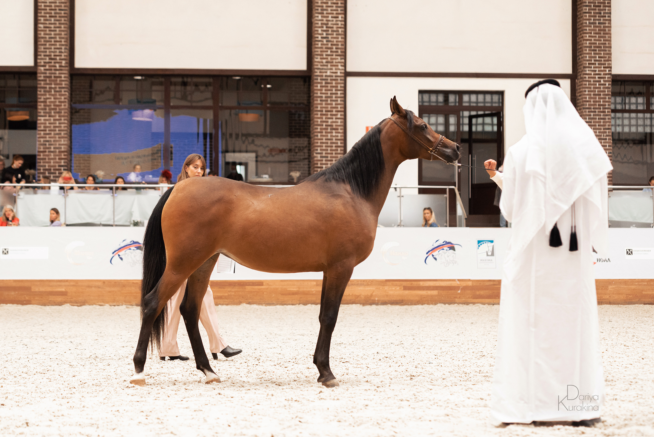 Конная Россия 2021. Конный фотограф Куракина Дарья • Фотосессии с лошадьми