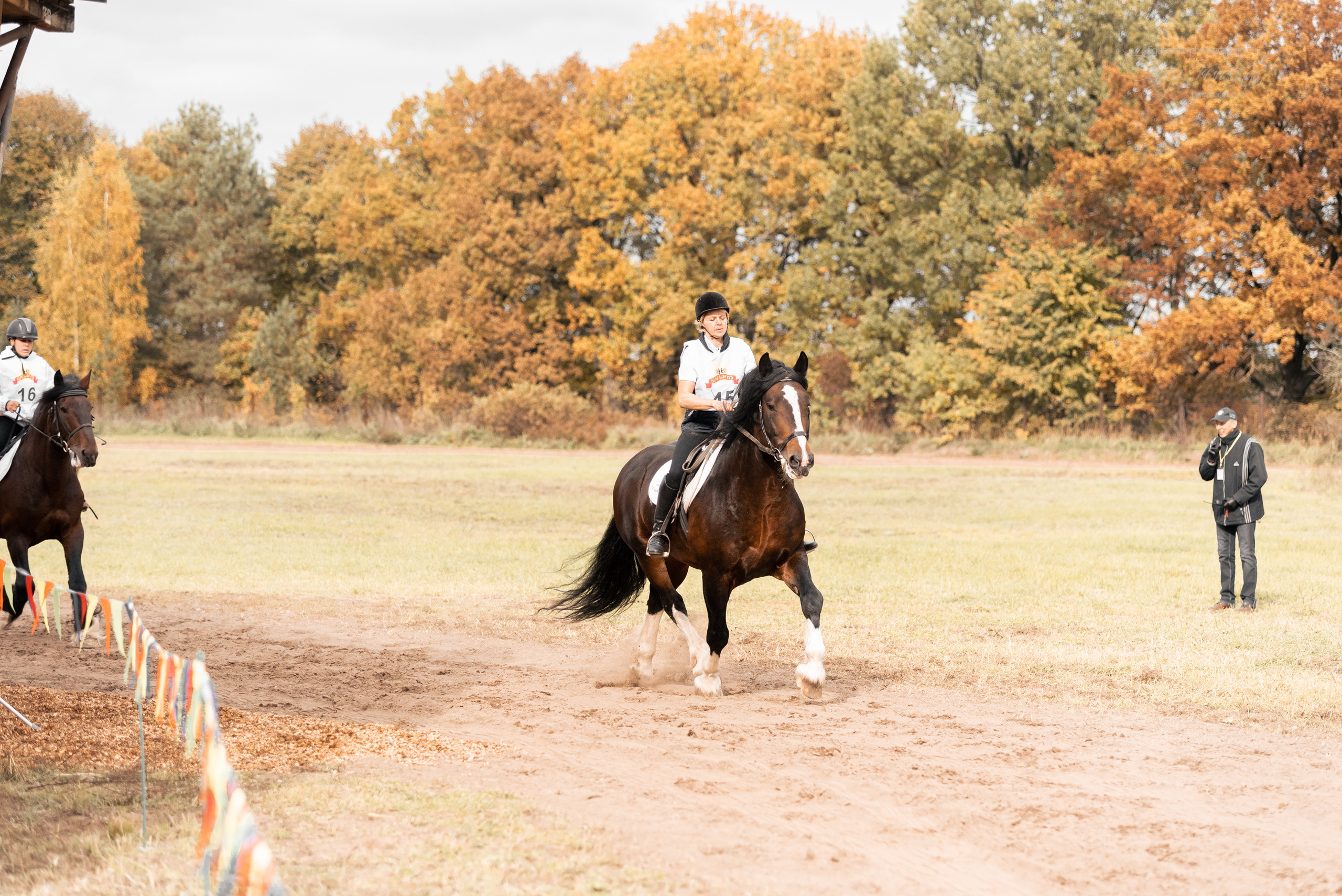 Богдарня. Конный фотограф Куракина Дарья • Фотосессии с лошадьми