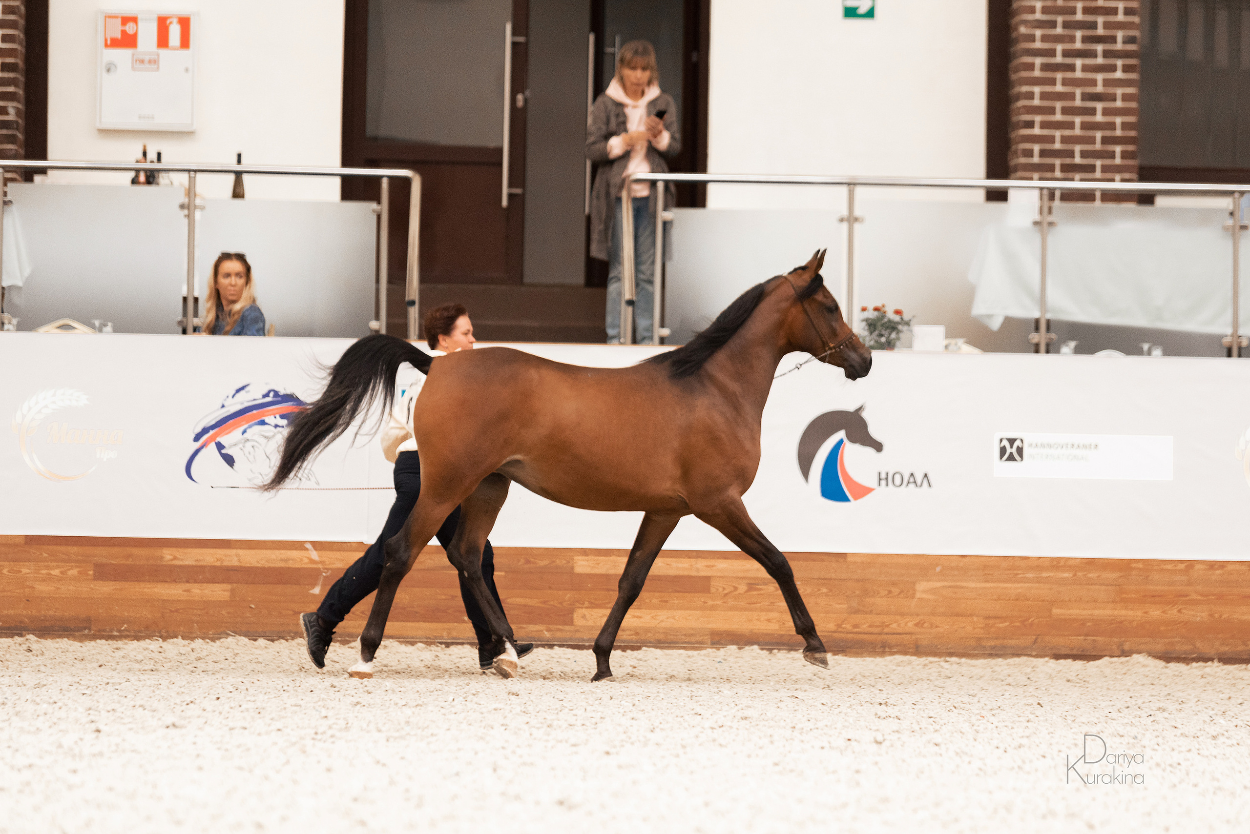 Конная Россия 2021. Конный фотограф Куракина Дарья • Фотосессии с лошадьми