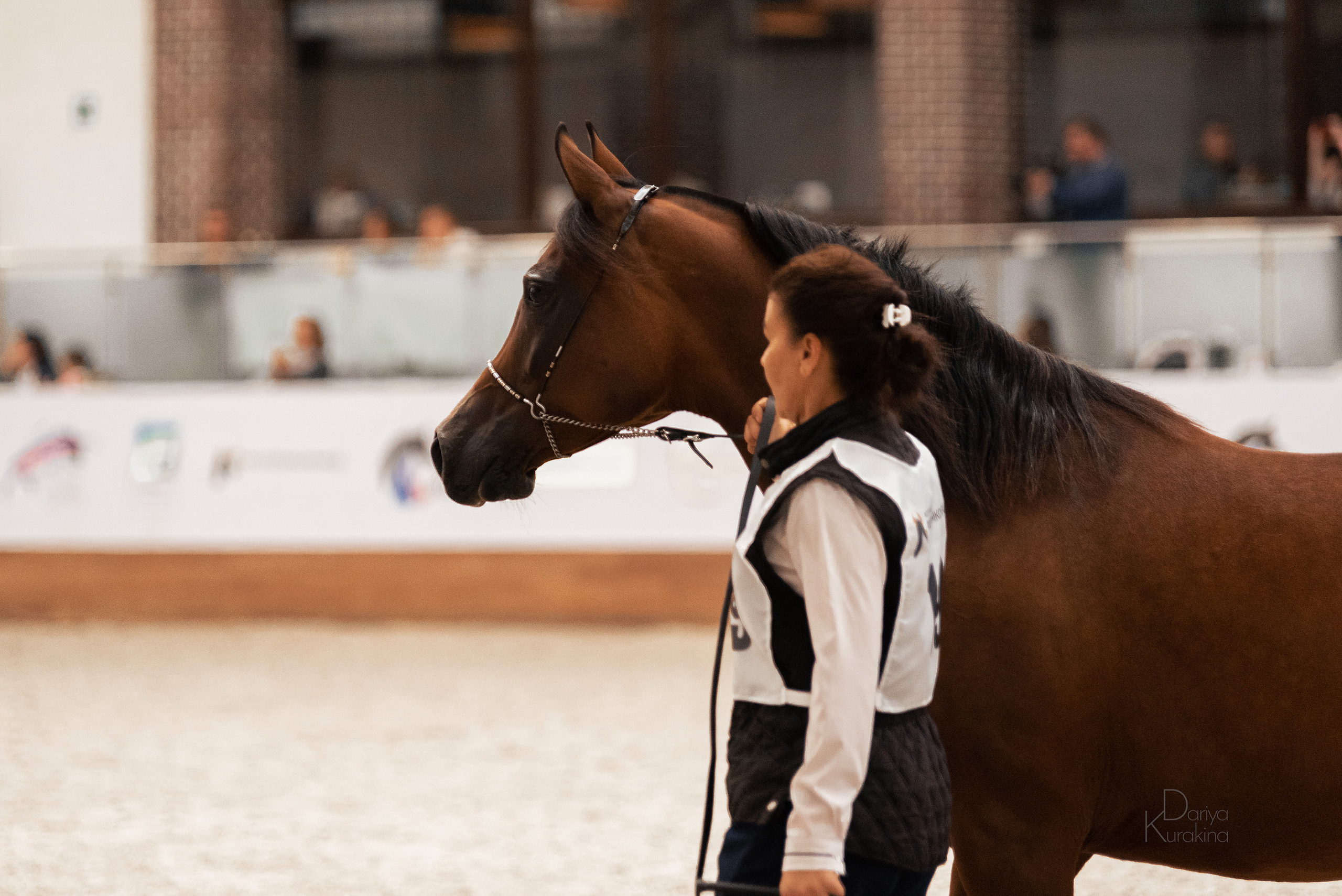 Конная Россия 2021. Конный фотограф Куракина Дарья • Фотосессии с лошадьми