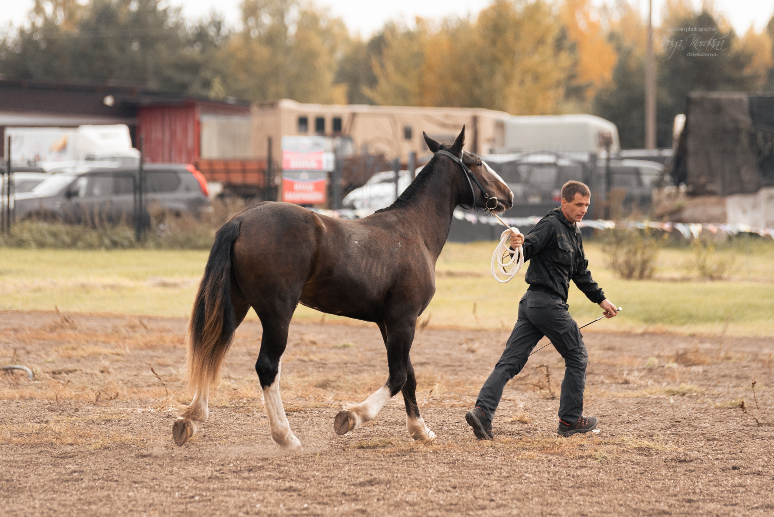 Богдарня. Конный фотограф Куракина Дарья • Фотосессии с лошадьми