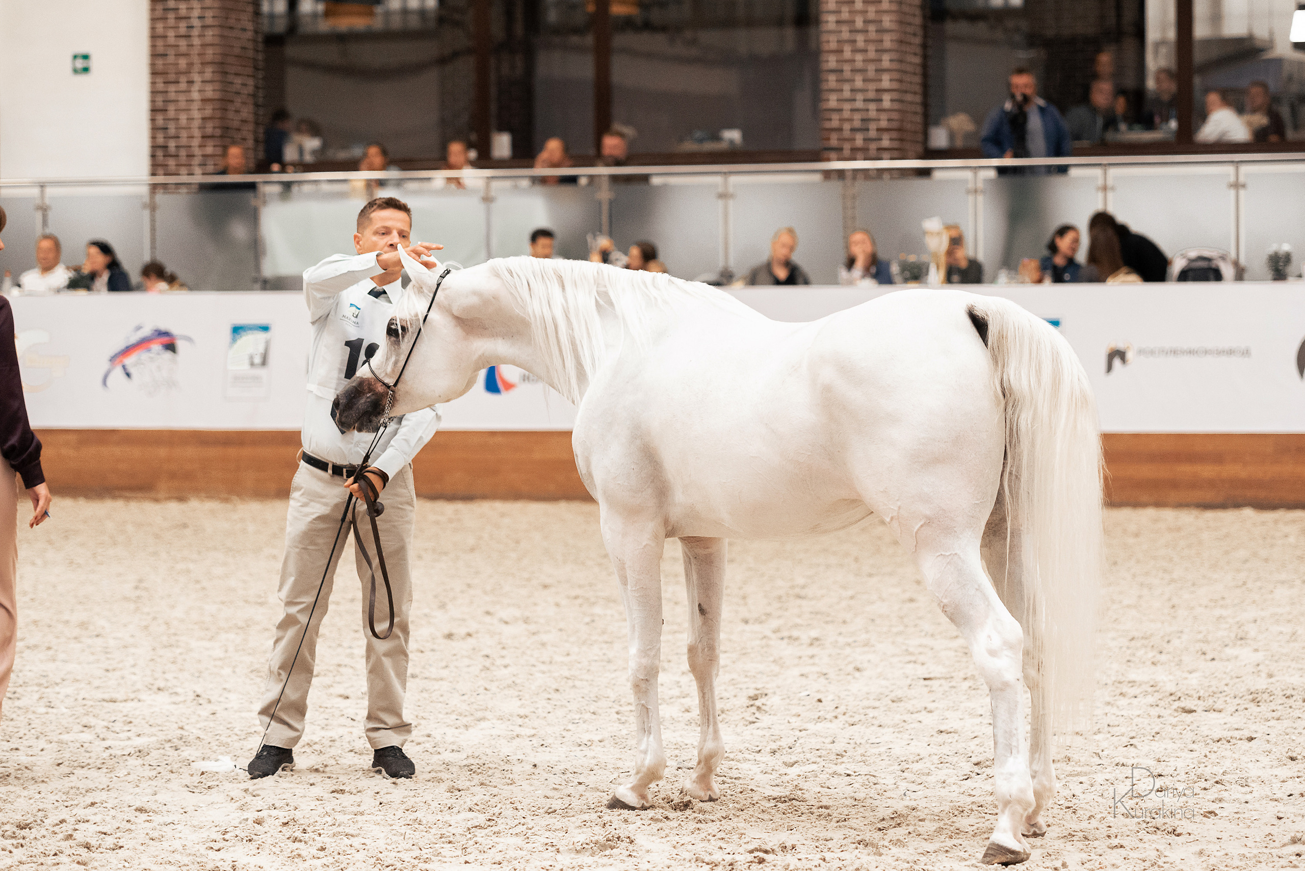 Конная Россия 2021. Конный фотограф Куракина Дарья • Фотосессии с лошадьми