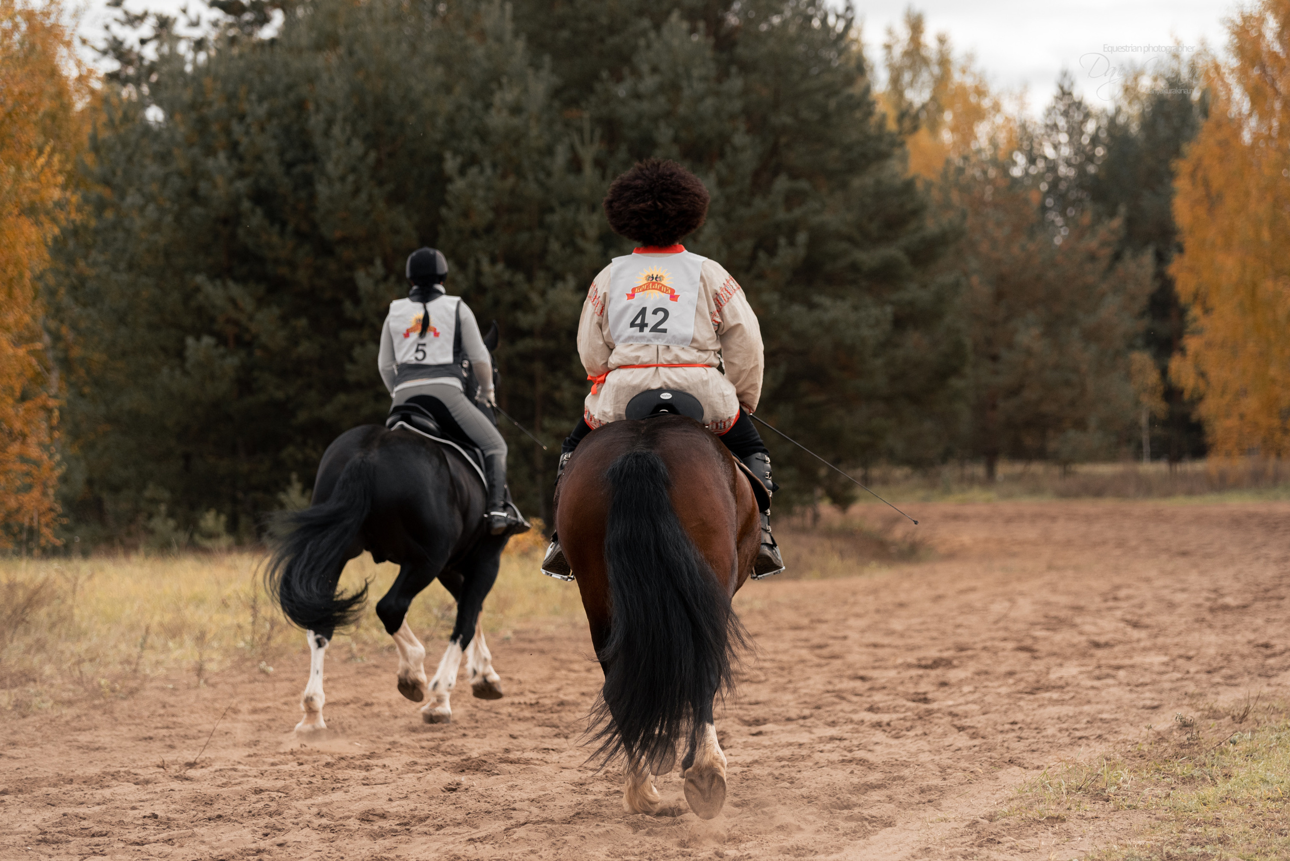 Богдарня. Конный фотограф Куракина Дарья • Фотосессии с лошадьми