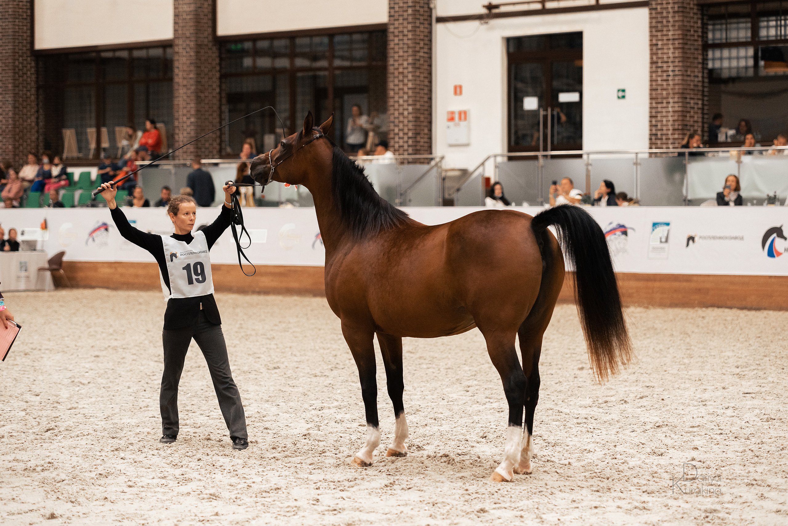 Конная Россия 2021. Конный фотограф Куракина Дарья • Фотосессии с лошадьми