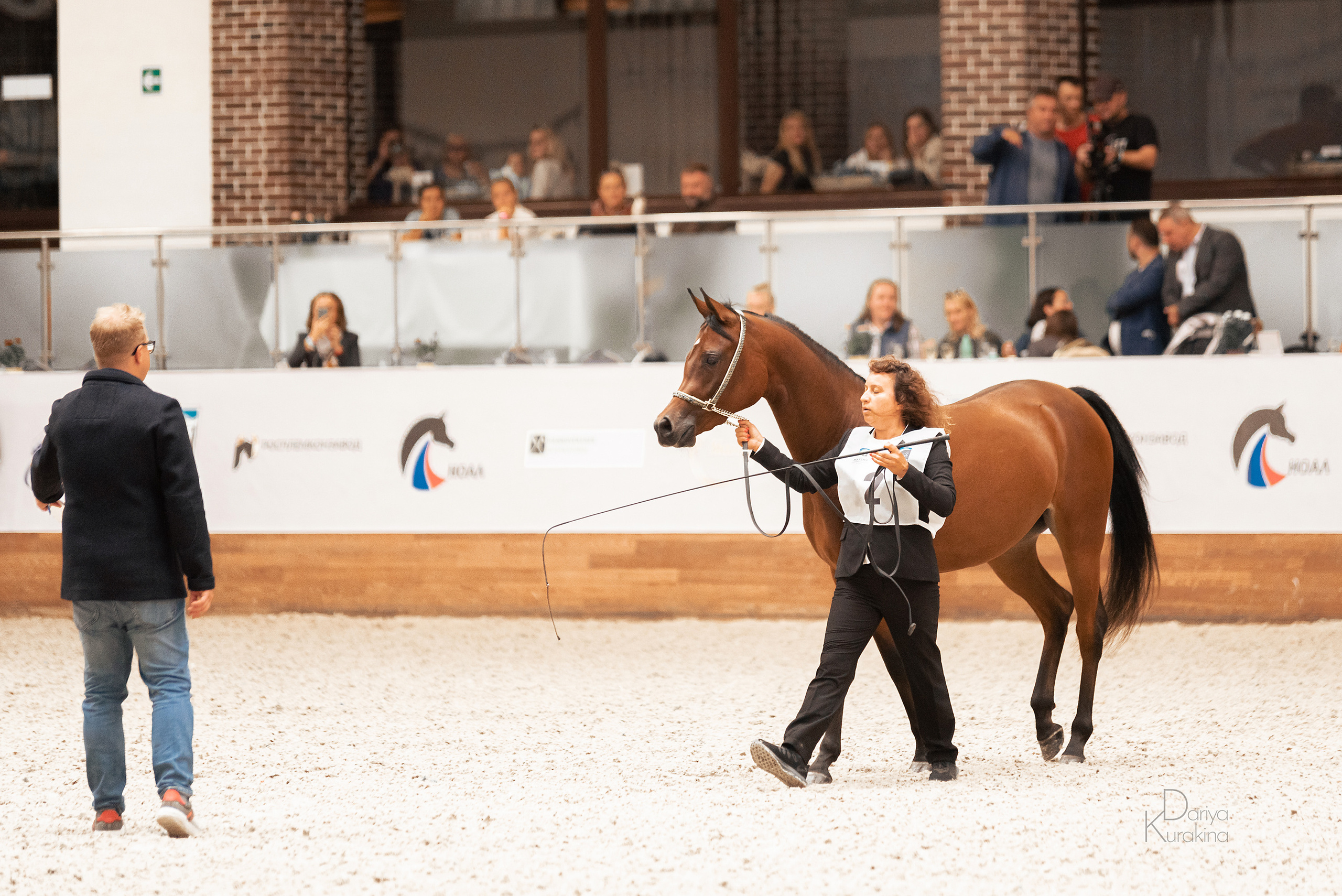 Конная Россия 2021. Конный фотограф Куракина Дарья • Фотосессии с лошадьми