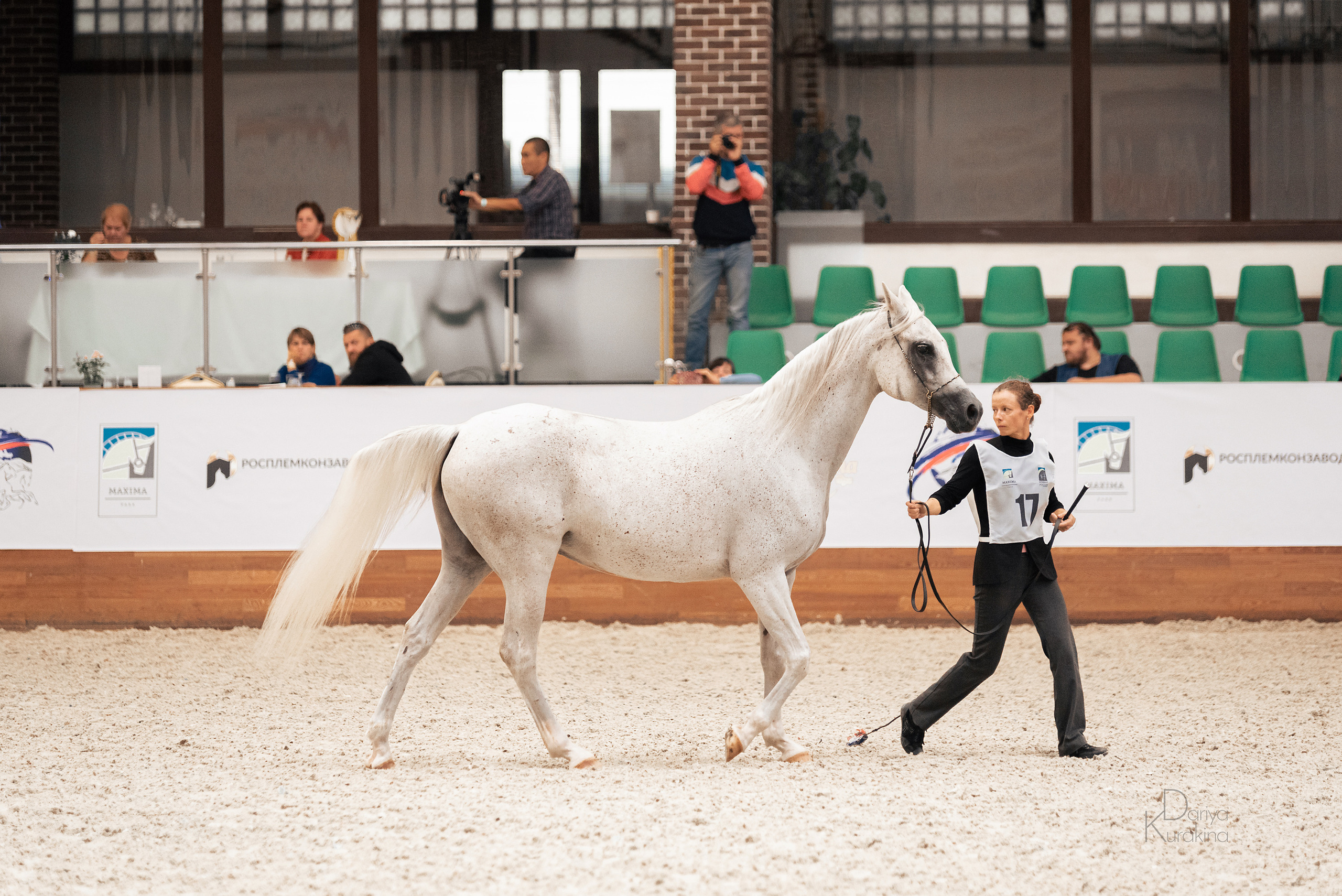 Конная Россия 2021. Конный фотограф Куракина Дарья • Фотосессии с лошадьми