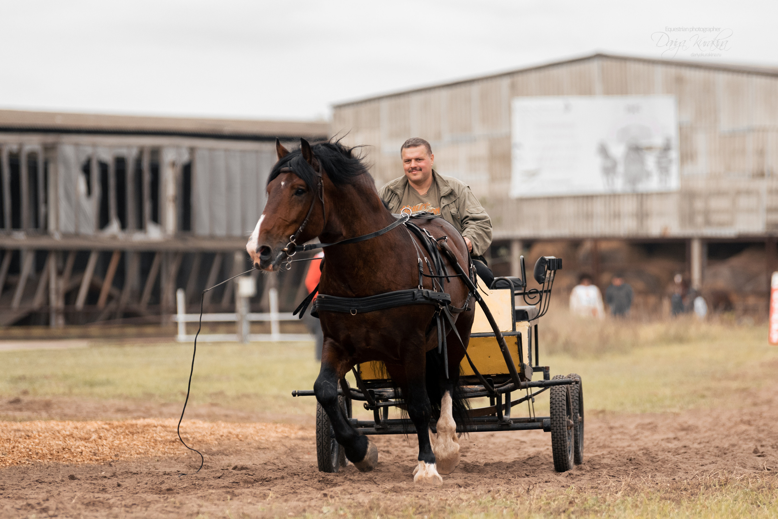 Богдарня. Конный фотограф Куракина Дарья • Фотосессии с лошадьми