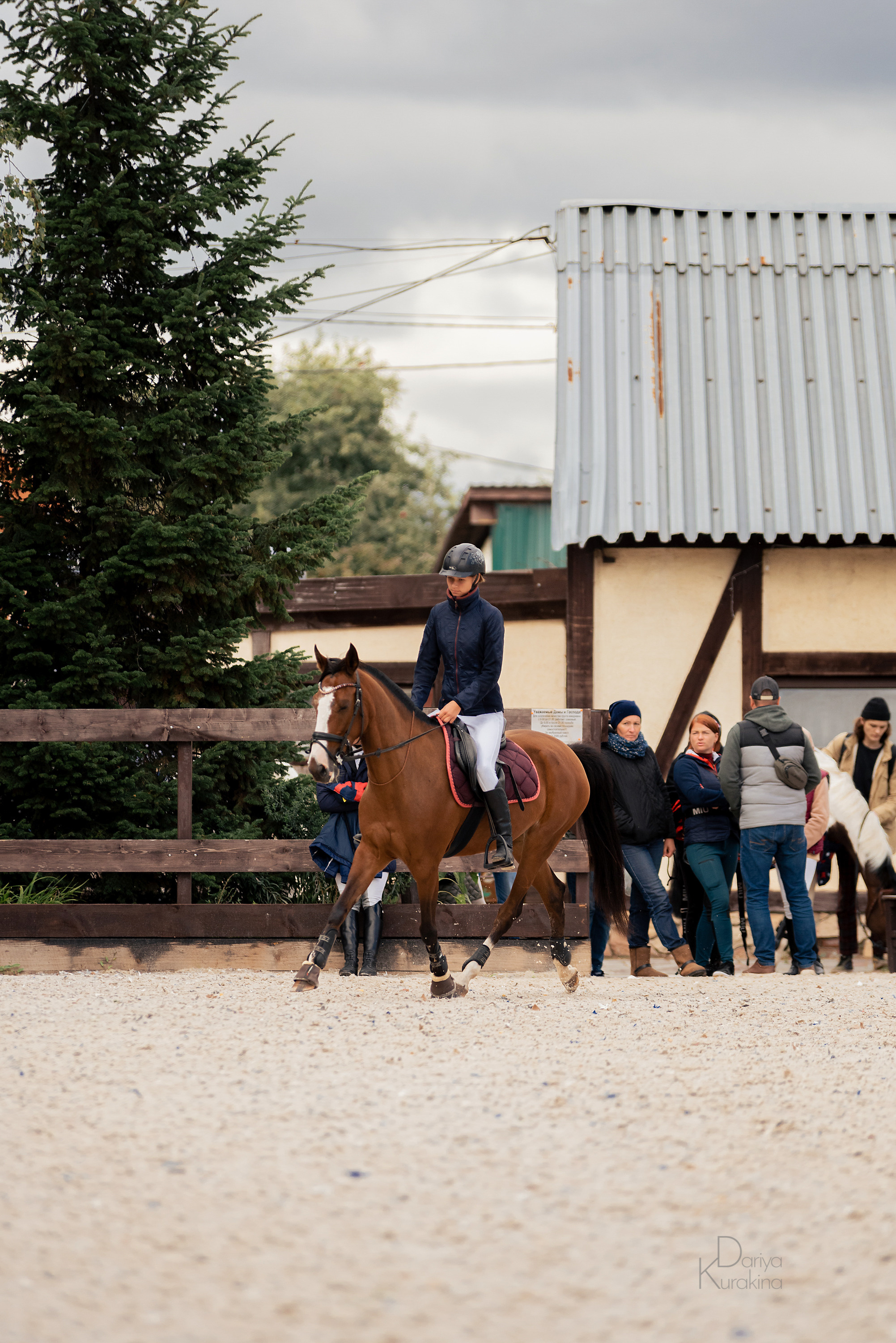 КСК Белая Дача, конкур. Конный фотограф Куракина Дарья • Фотосессии с лошадьми