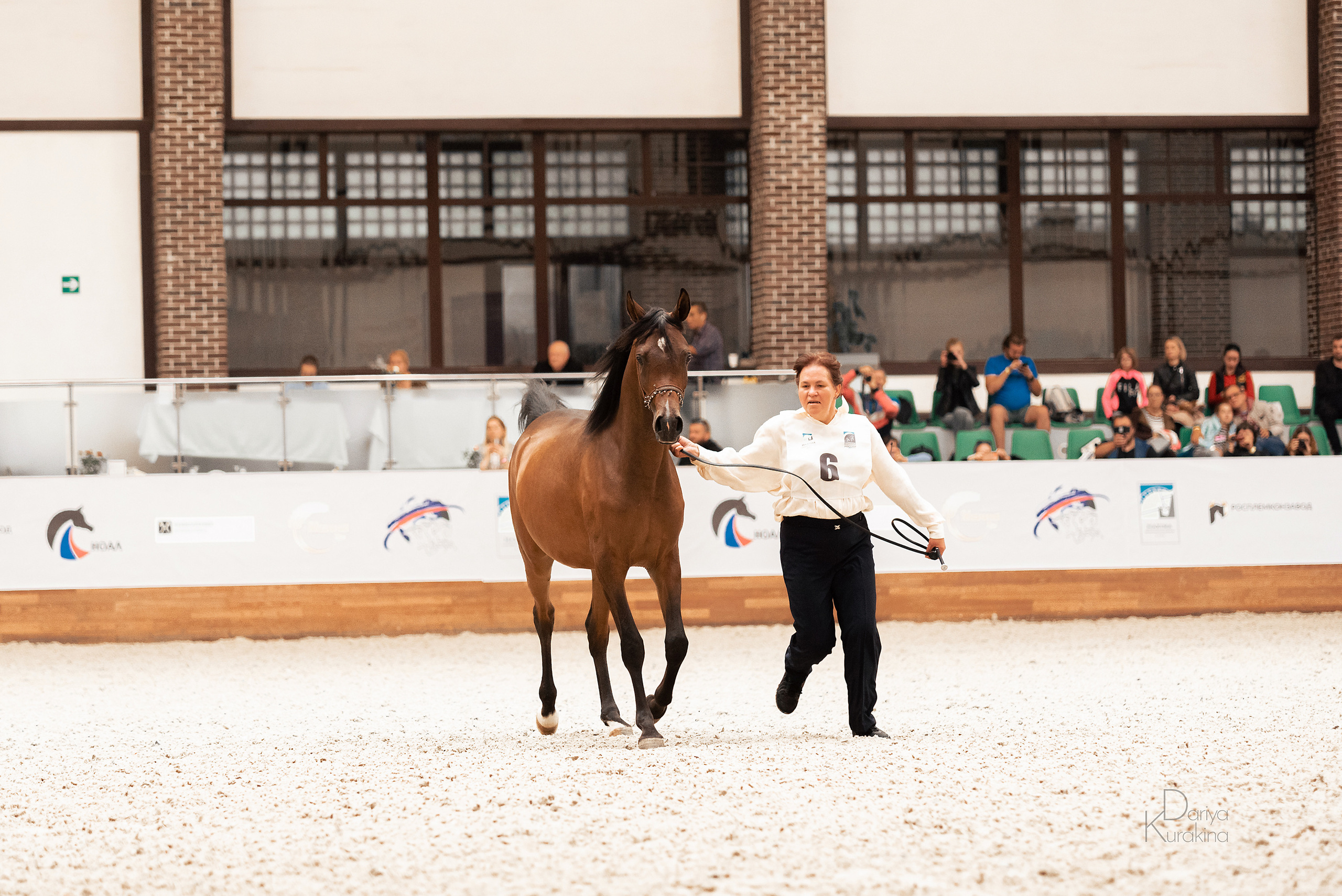 Конная Россия 2021. Конный фотограф Куракина Дарья • Фотосессии с лошадьми