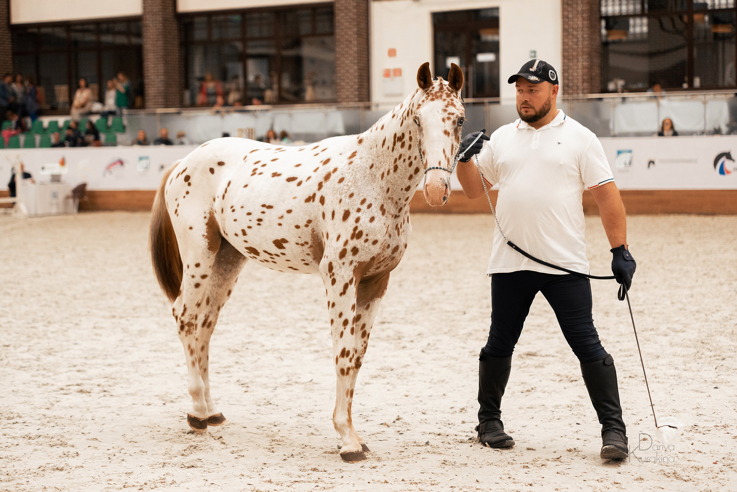 Конная Россия 2021. Конный фотограф Куракина Дарья • Фотосессии с лошадьми
