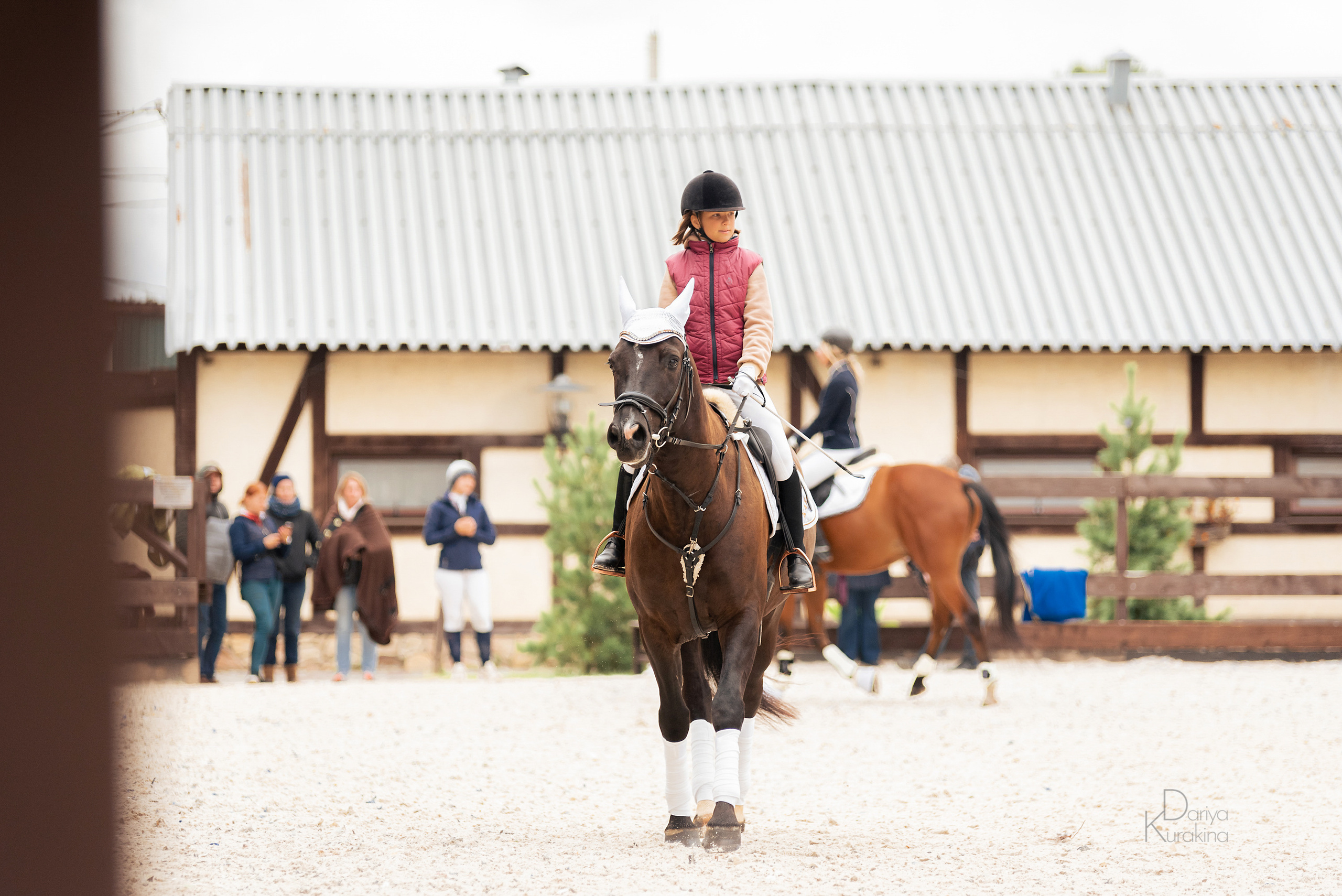 КСК Белая Дача, конкур. Конный фотограф Куракина Дарья • Фотосессии с лошадьми