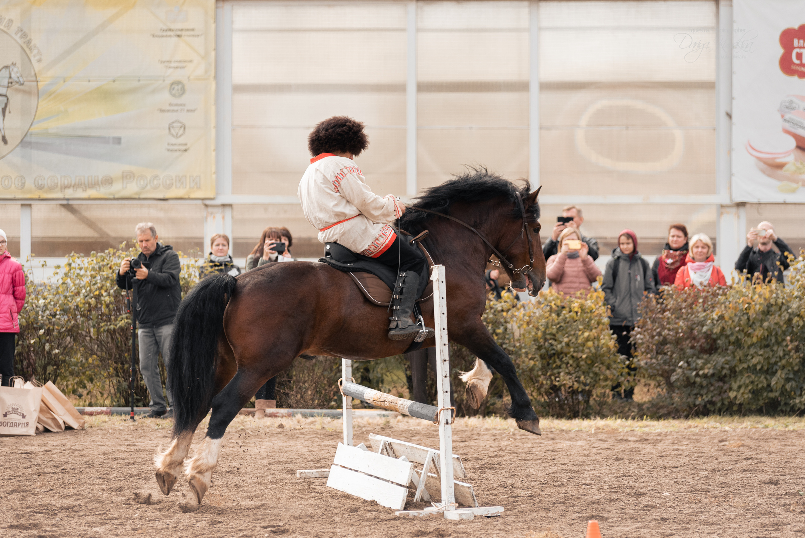Богдарня. Конный фотограф Куракина Дарья • Фотосессии с лошадьми