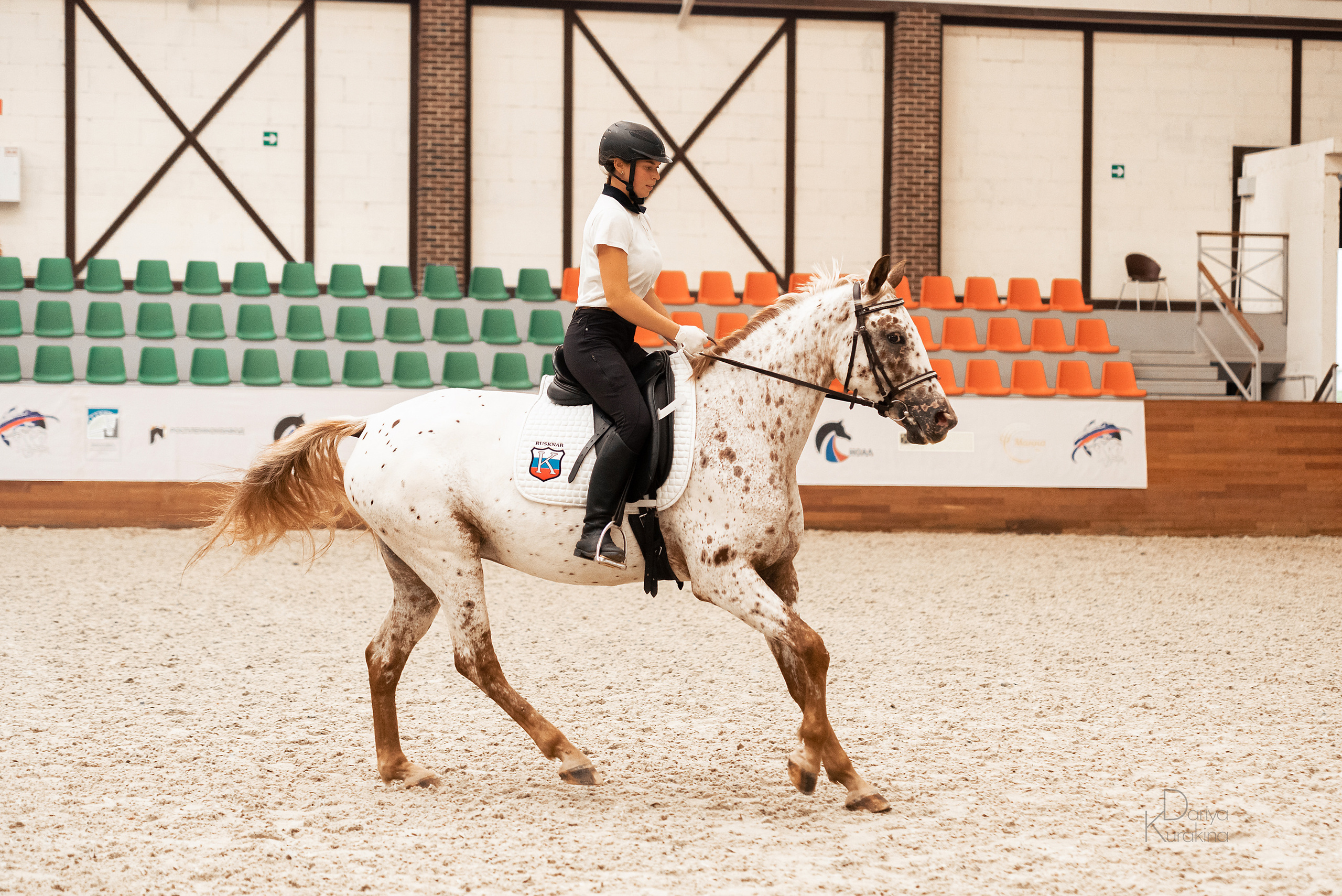 Конная Россия 2021. Конный фотограф Куракина Дарья • Фотосессии с лошадьми