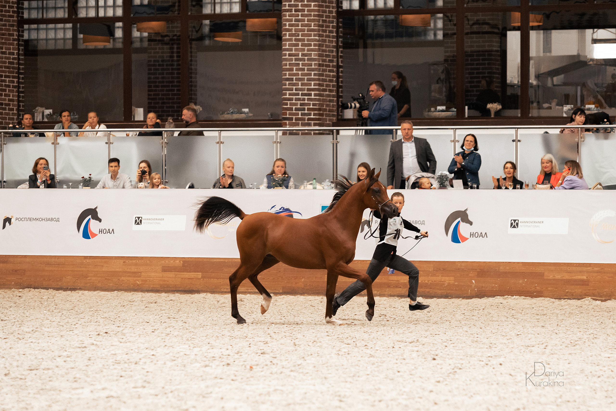 Конная Россия 2021. Конный фотограф Куракина Дарья • Фотосессии с лошадьми