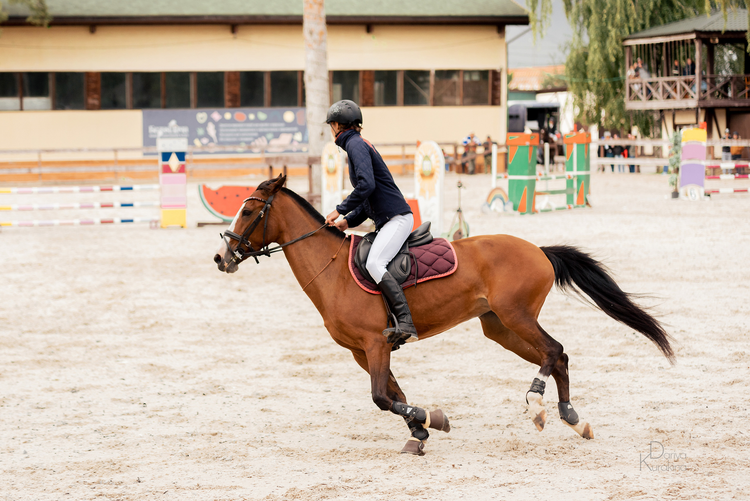 КСК Белая Дача, конкур. Конный фотограф Куракина Дарья • Фотосессии с лошадьми