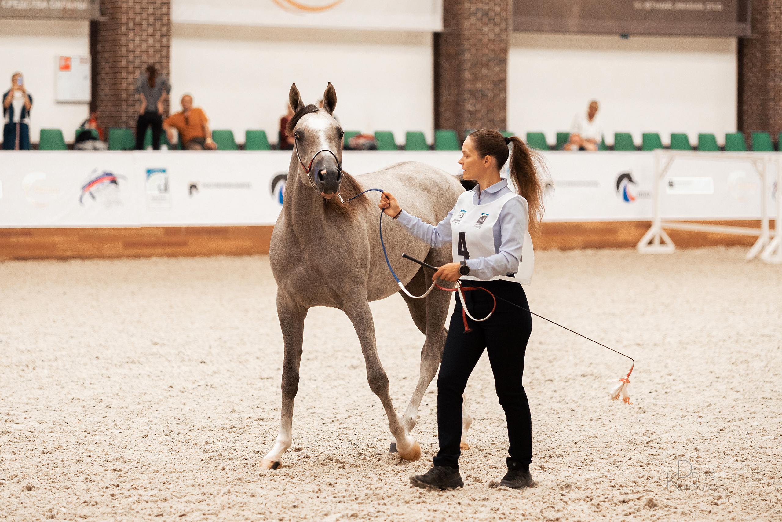Конная Россия 2021. Конный фотограф Куракина Дарья • Фотосессии с лошадьми