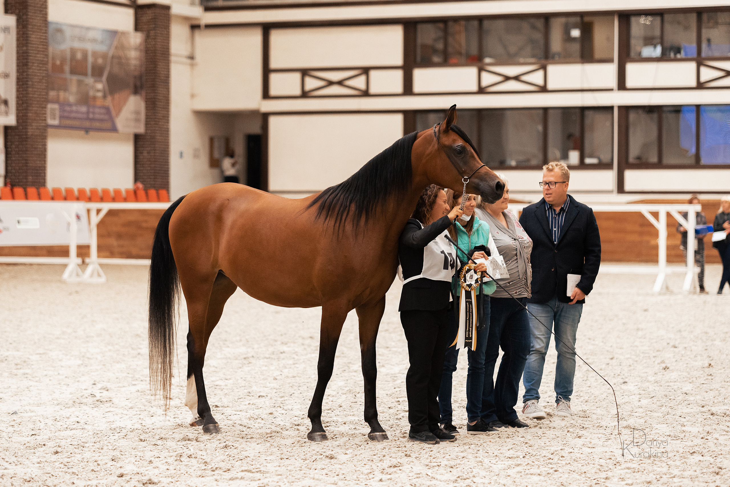 Конная Россия 2021. Конный фотограф Куракина Дарья • Фотосессии с лошадьми
