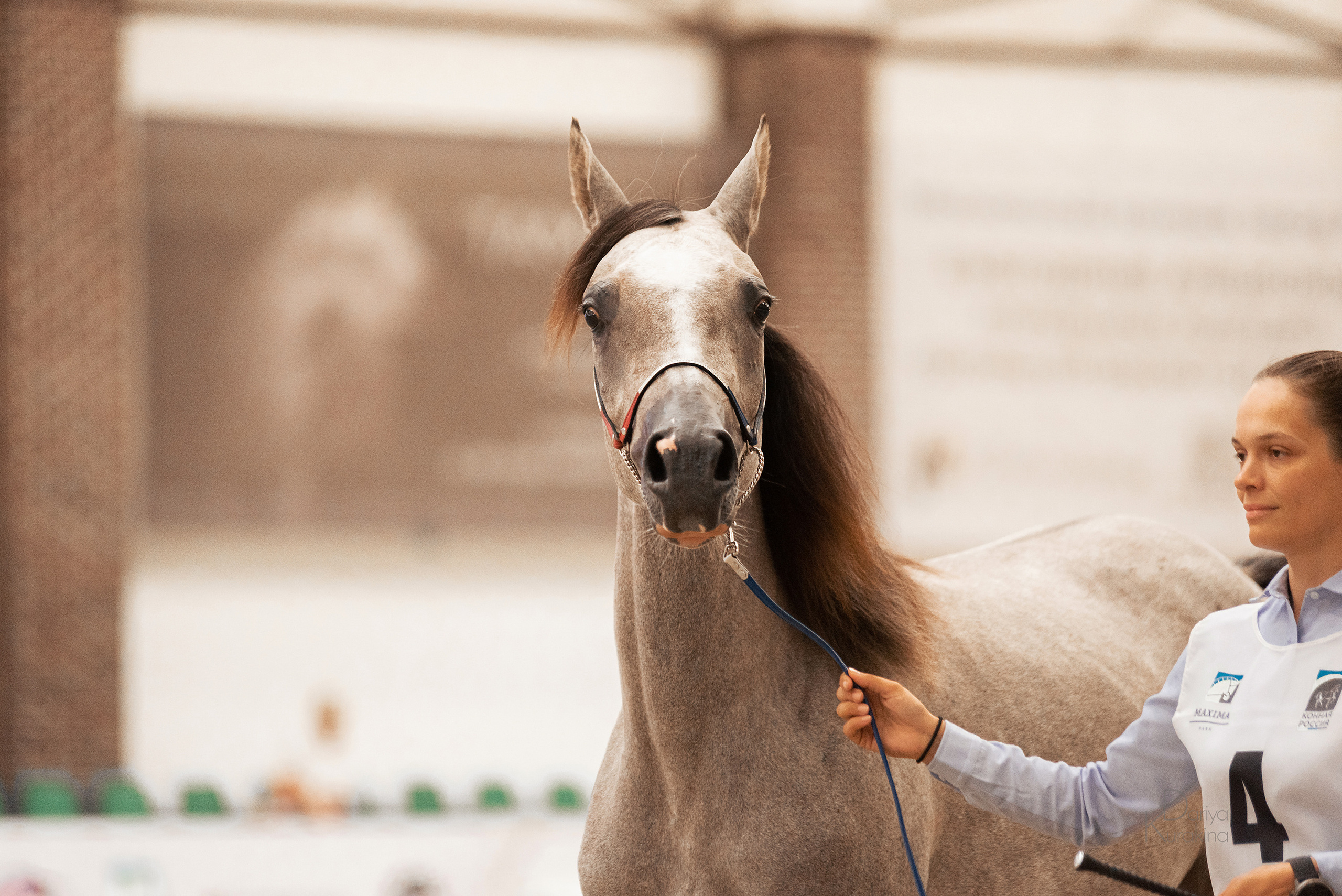 Конная Россия 2021. Конный фотограф Куракина Дарья • Фотосессии с лошадьми